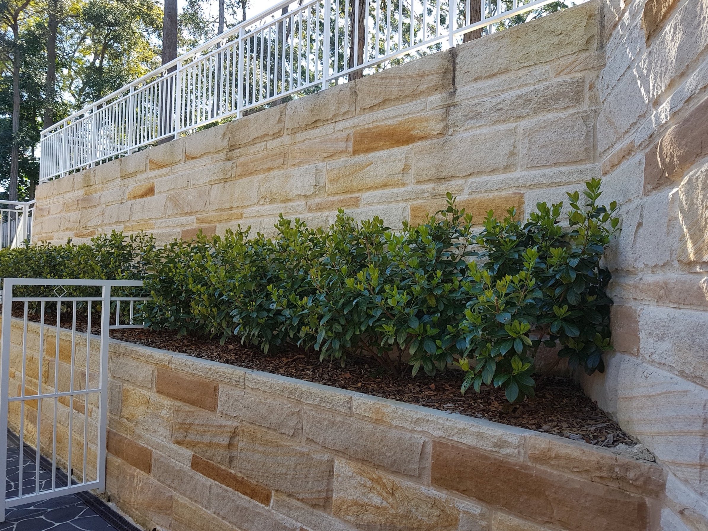 A brick wall with a raised garden bed filled with green bushes, a white metal gate in the foreground, and trees in the background.