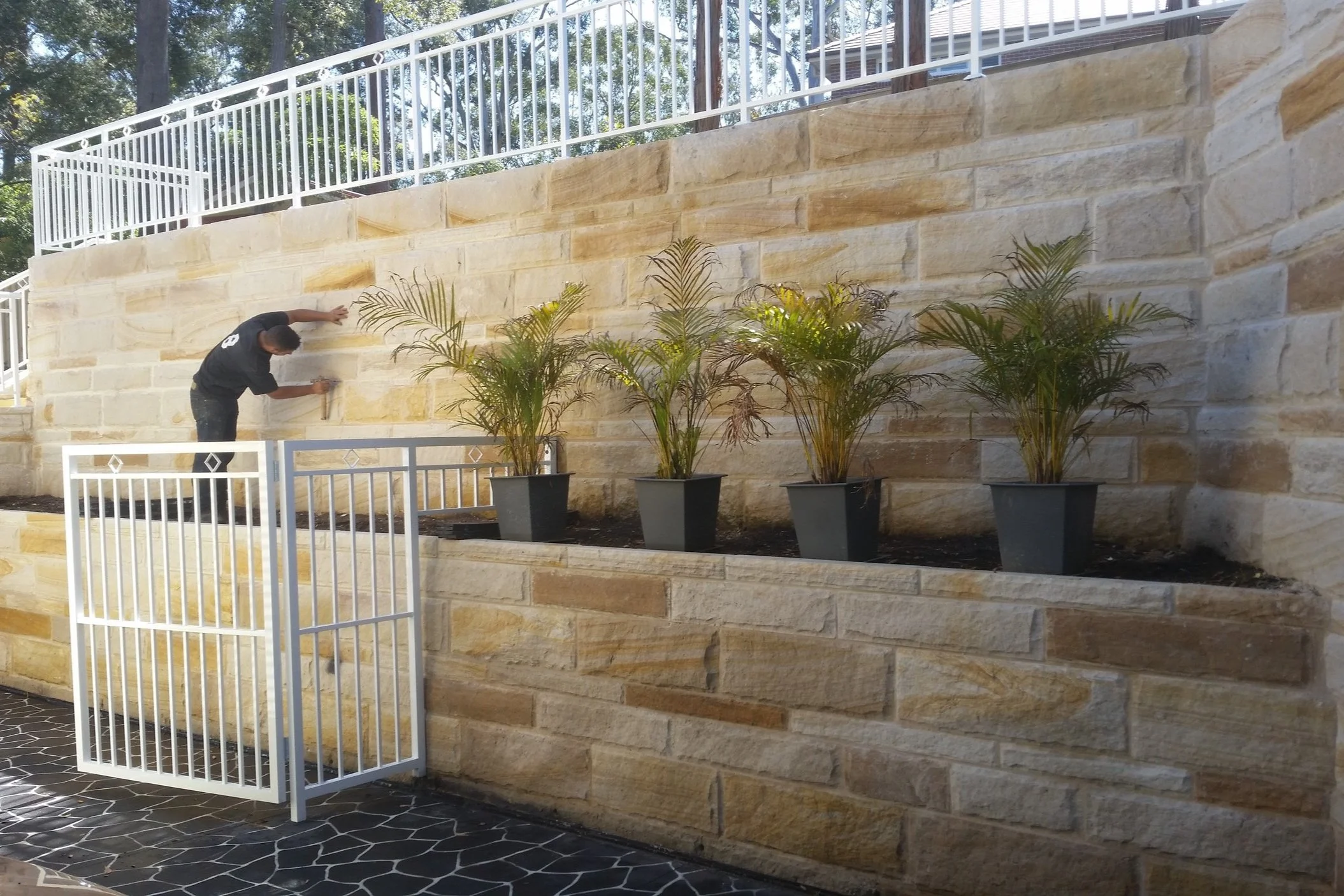 A worker in a black shirt installing or working on a beige stone brick wall next to a row of potted palm plants. The scene is outdoors with a white metal railing above and a black and white tiled ground.