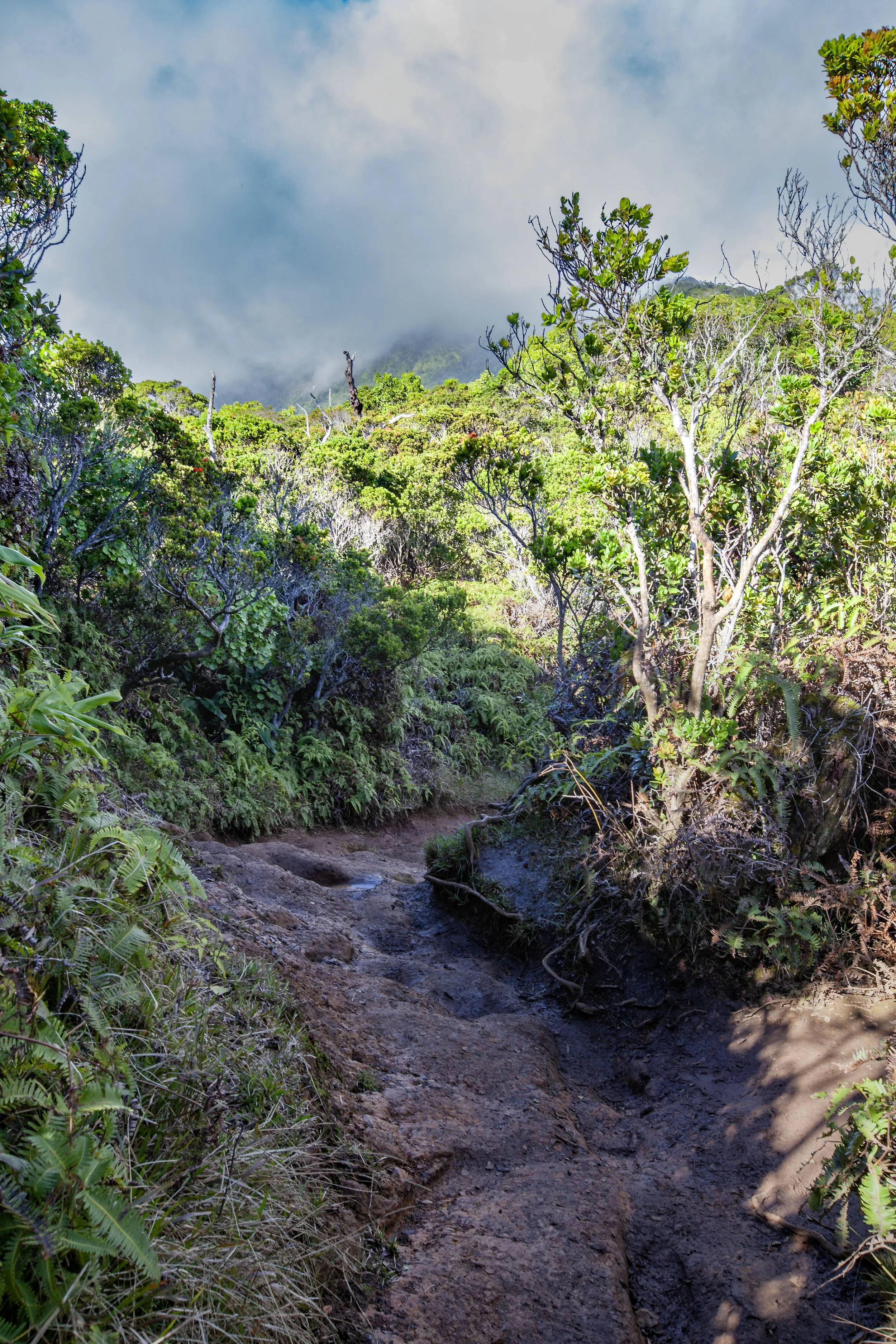 Kauai - 2013