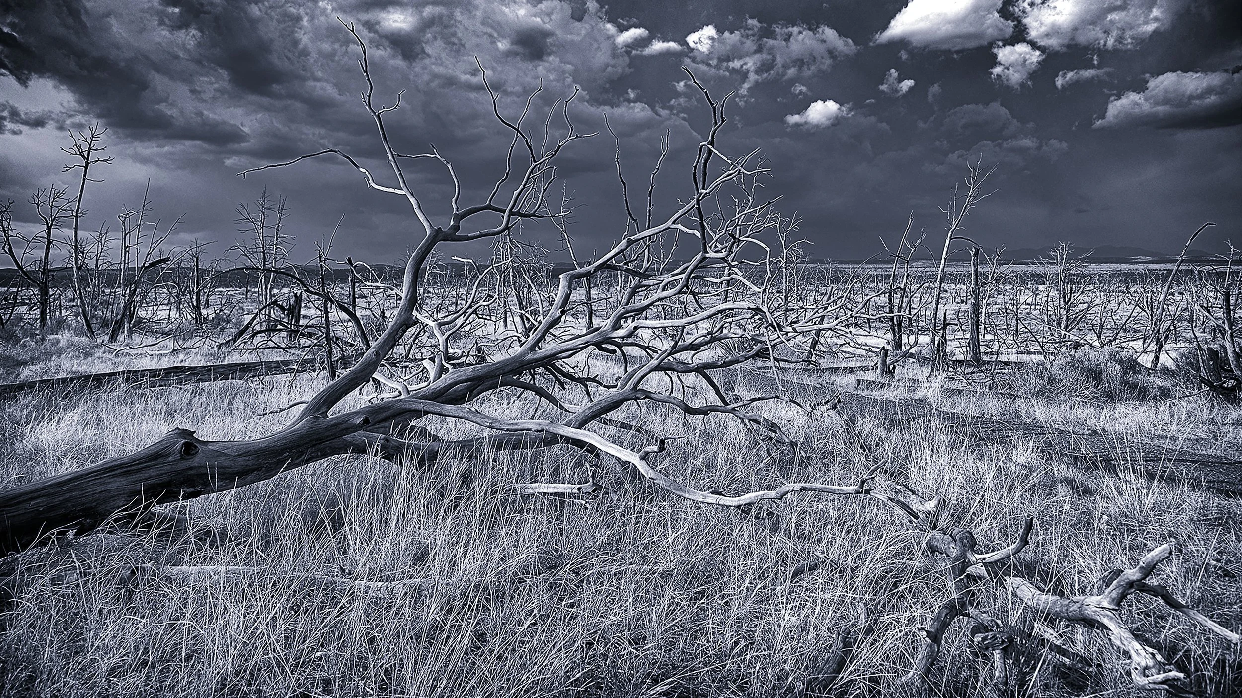 G06A0108 BW Mesa Verde Wild Fire 4k.jpg