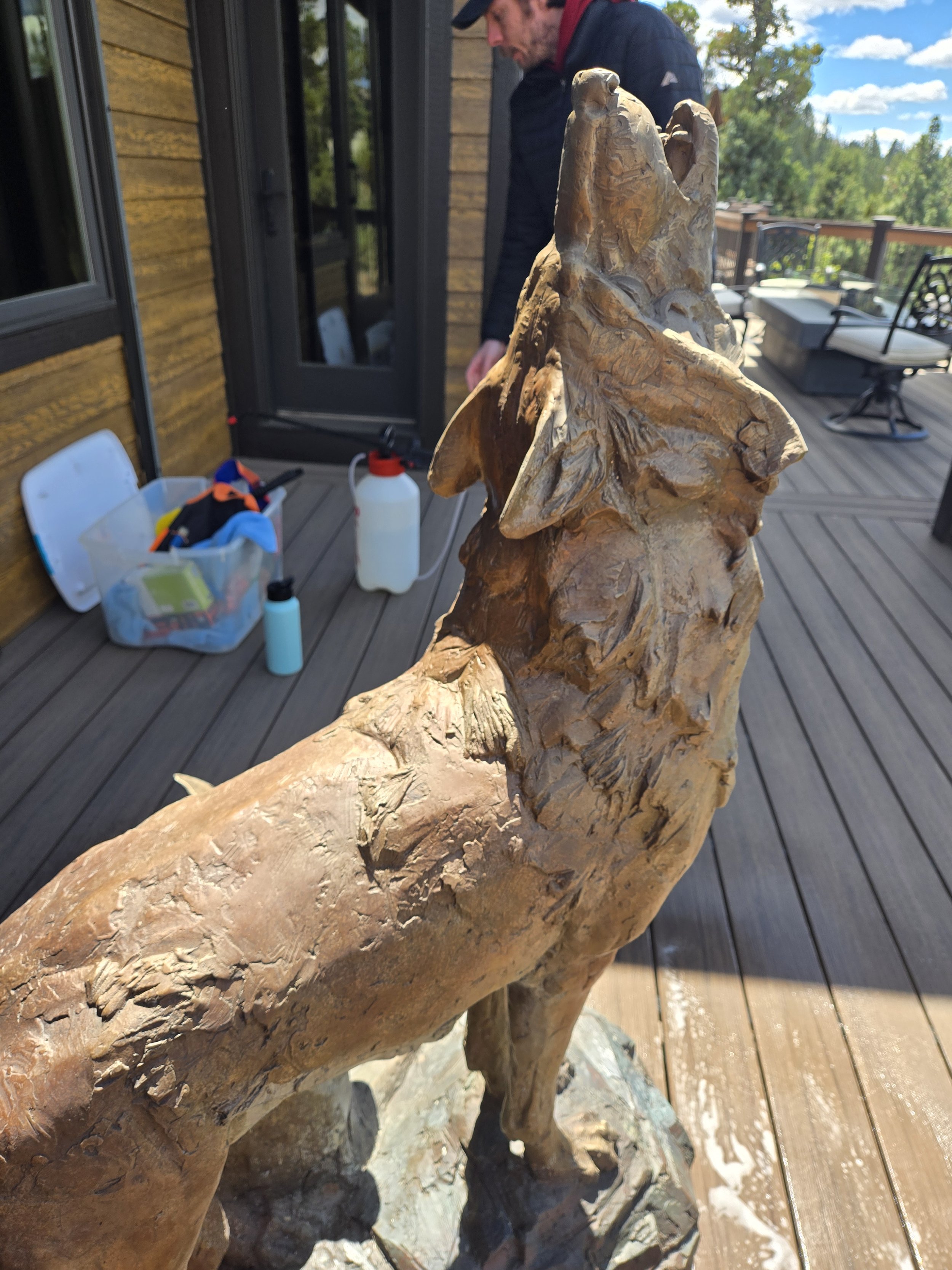 Outdoor bronze wolf sculpture being cleaned and waxed.