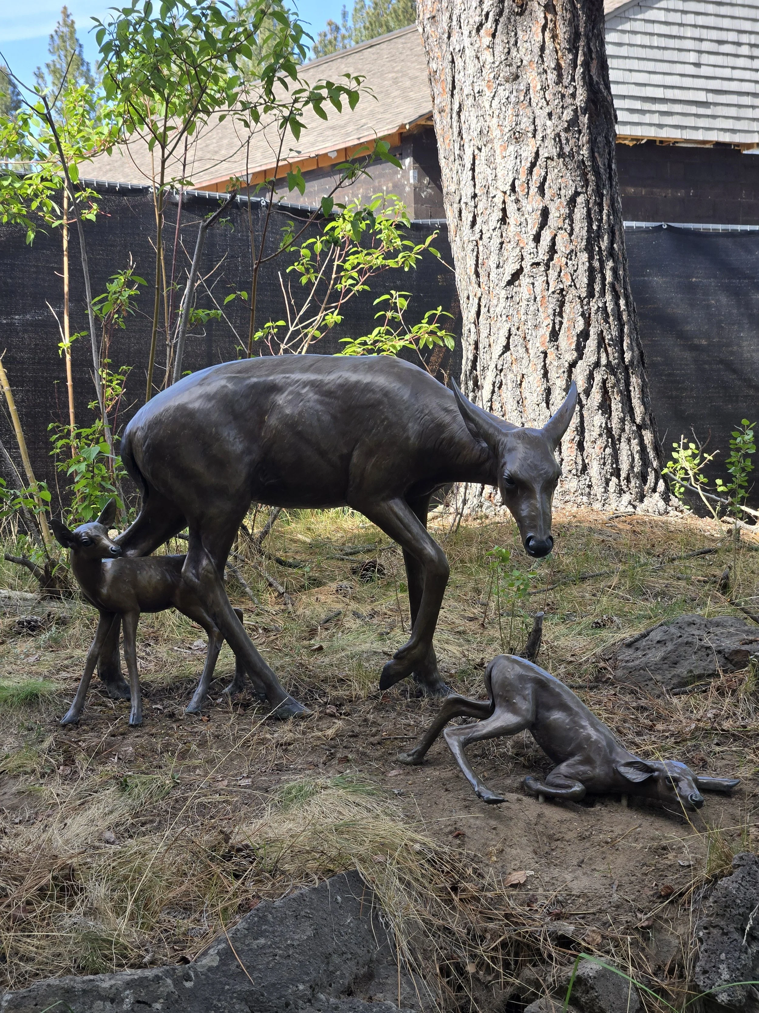 Bronze sculptures of a standing deer with a fawn, and a clumsy fawn trying to stand up.