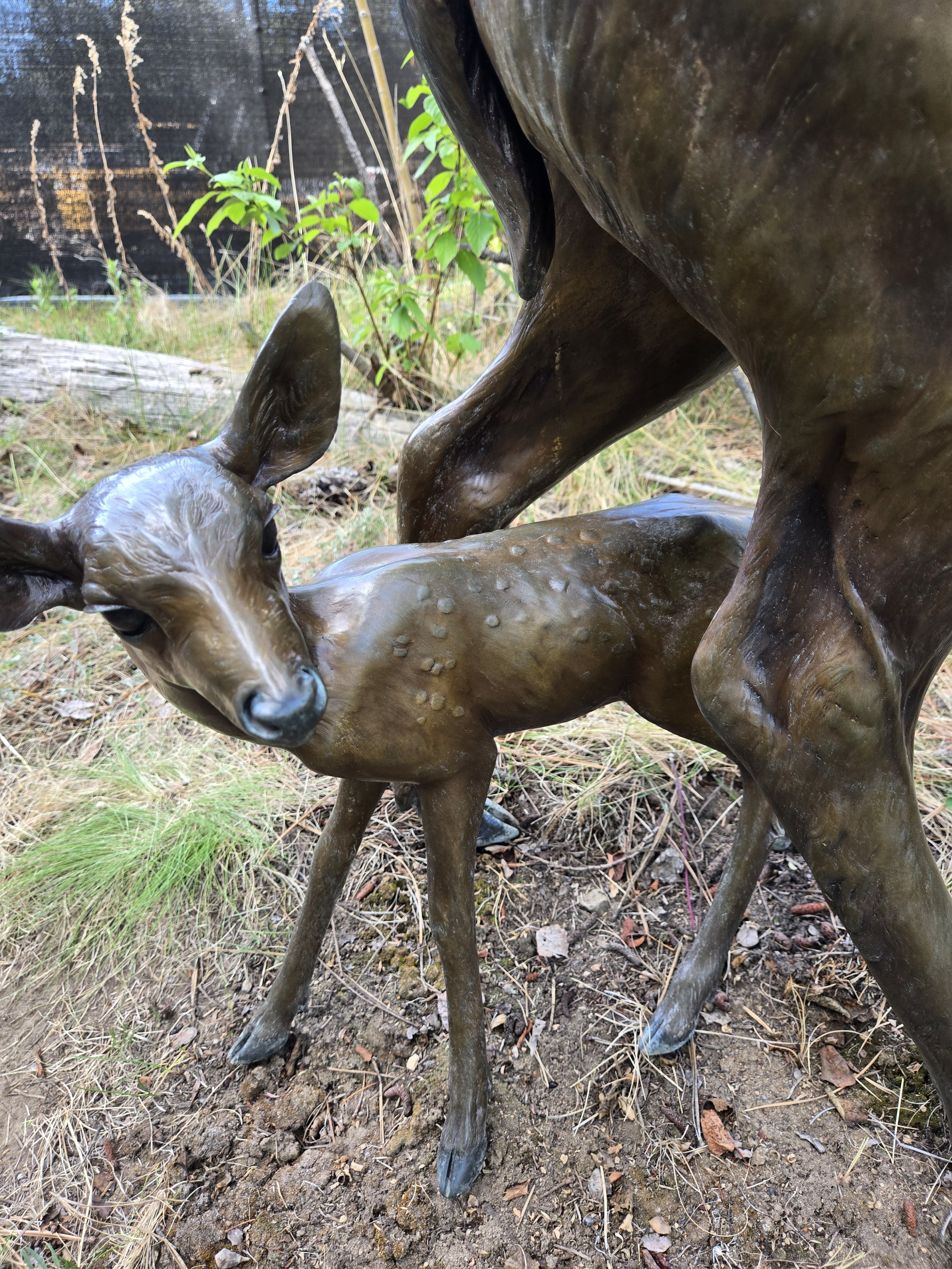 A bronze sculpture close up of a fawn.