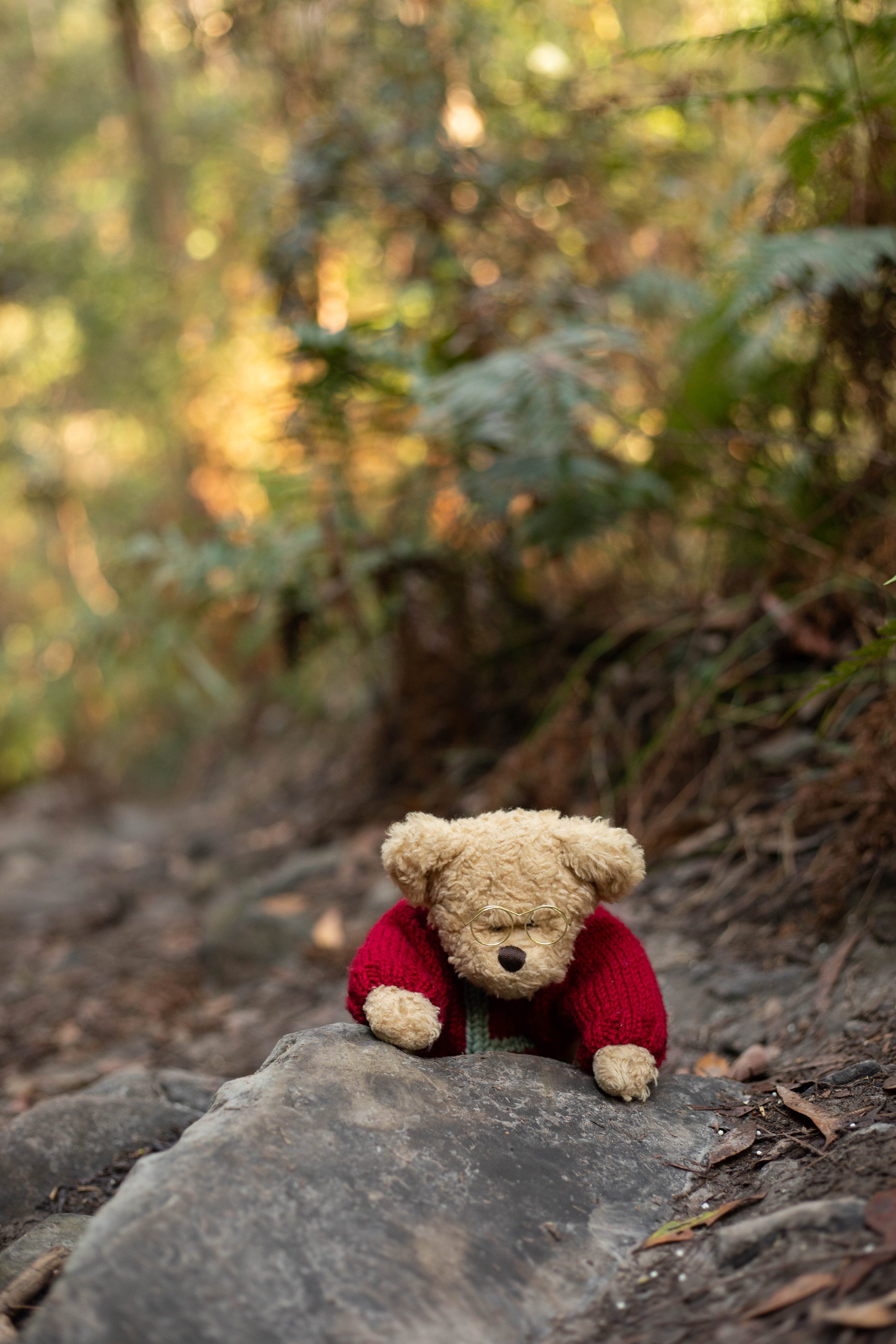 Loris, Bobbi's friend, climbing over a rock, in a rainforest. He's a cuddly, loveable teddy bear and loves to go on adventures with children
