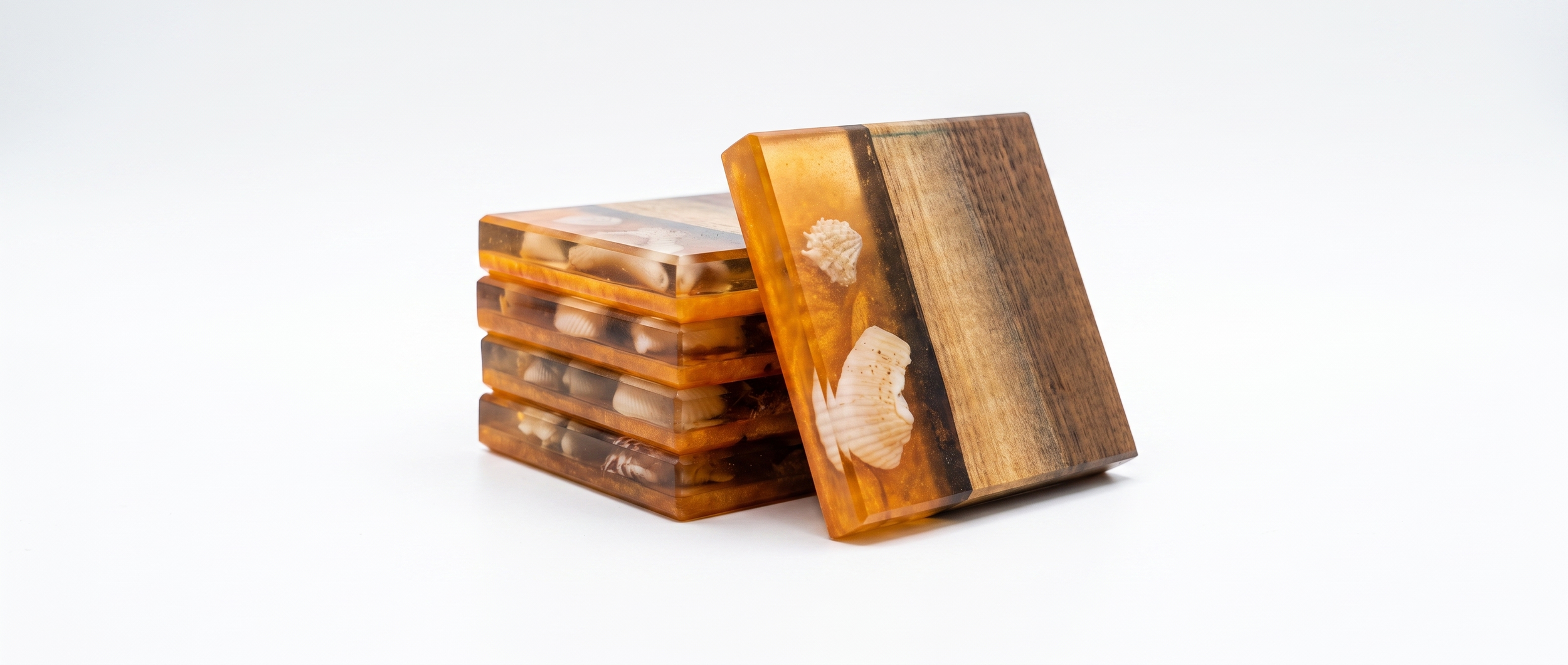 Shell Coaster