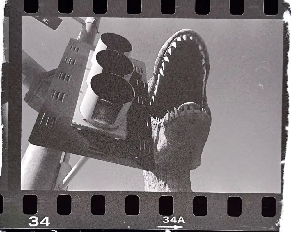 T Rex Mobile.webp