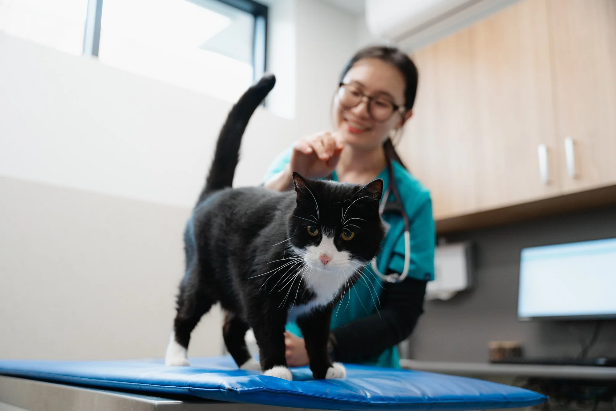 MOORABBIN VETERINARY HOSPITAL