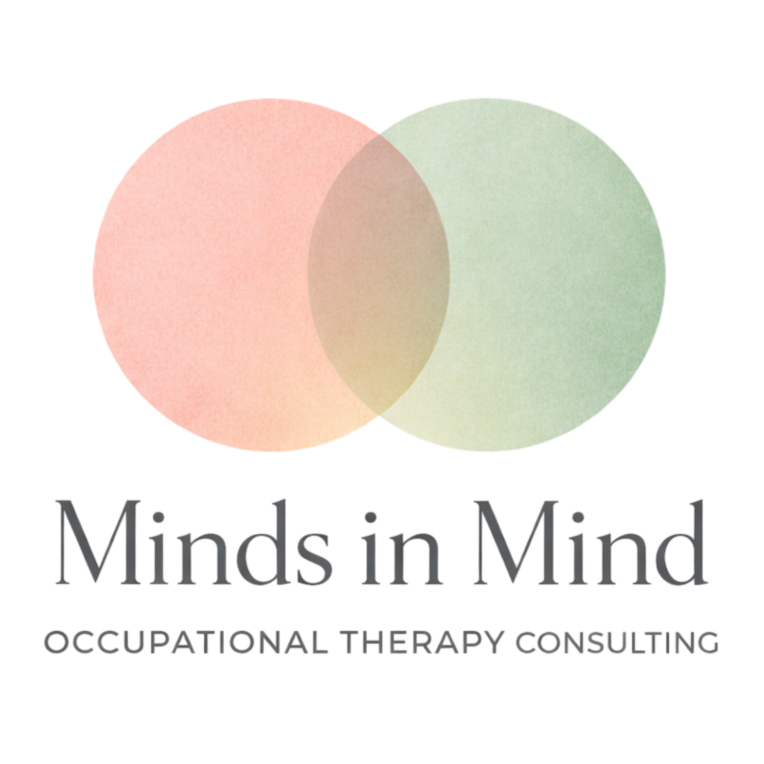Minds in Mind Occupational Therapy Consulting