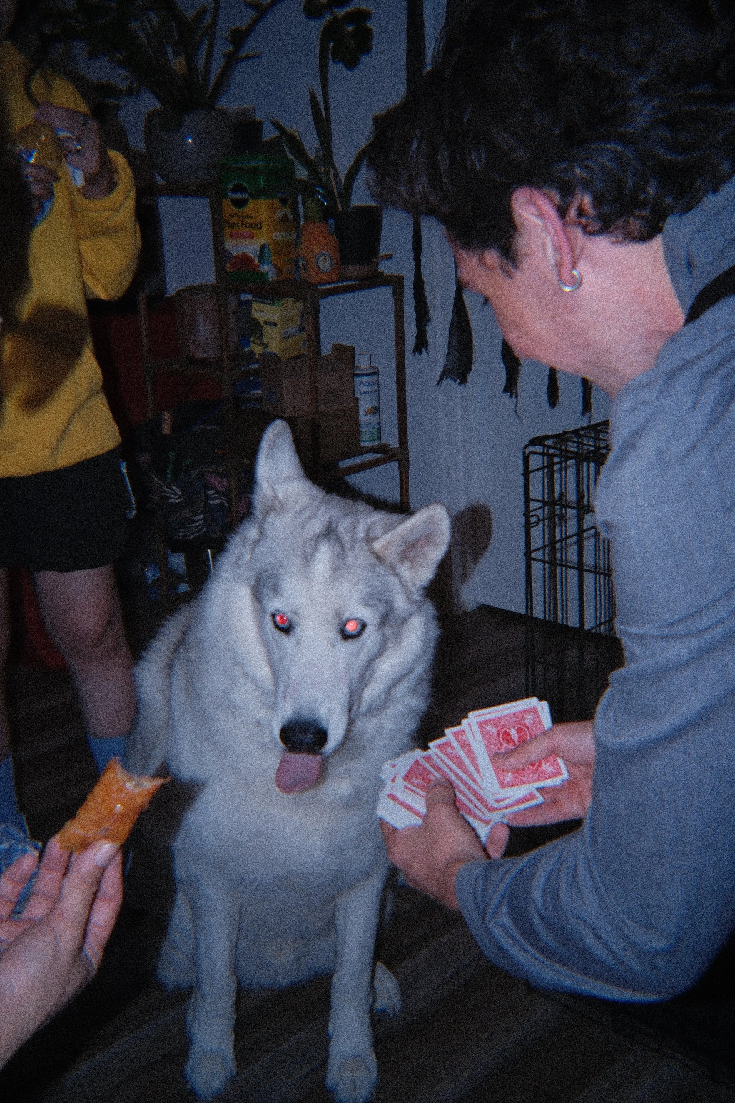 DSCF1323.JPG
