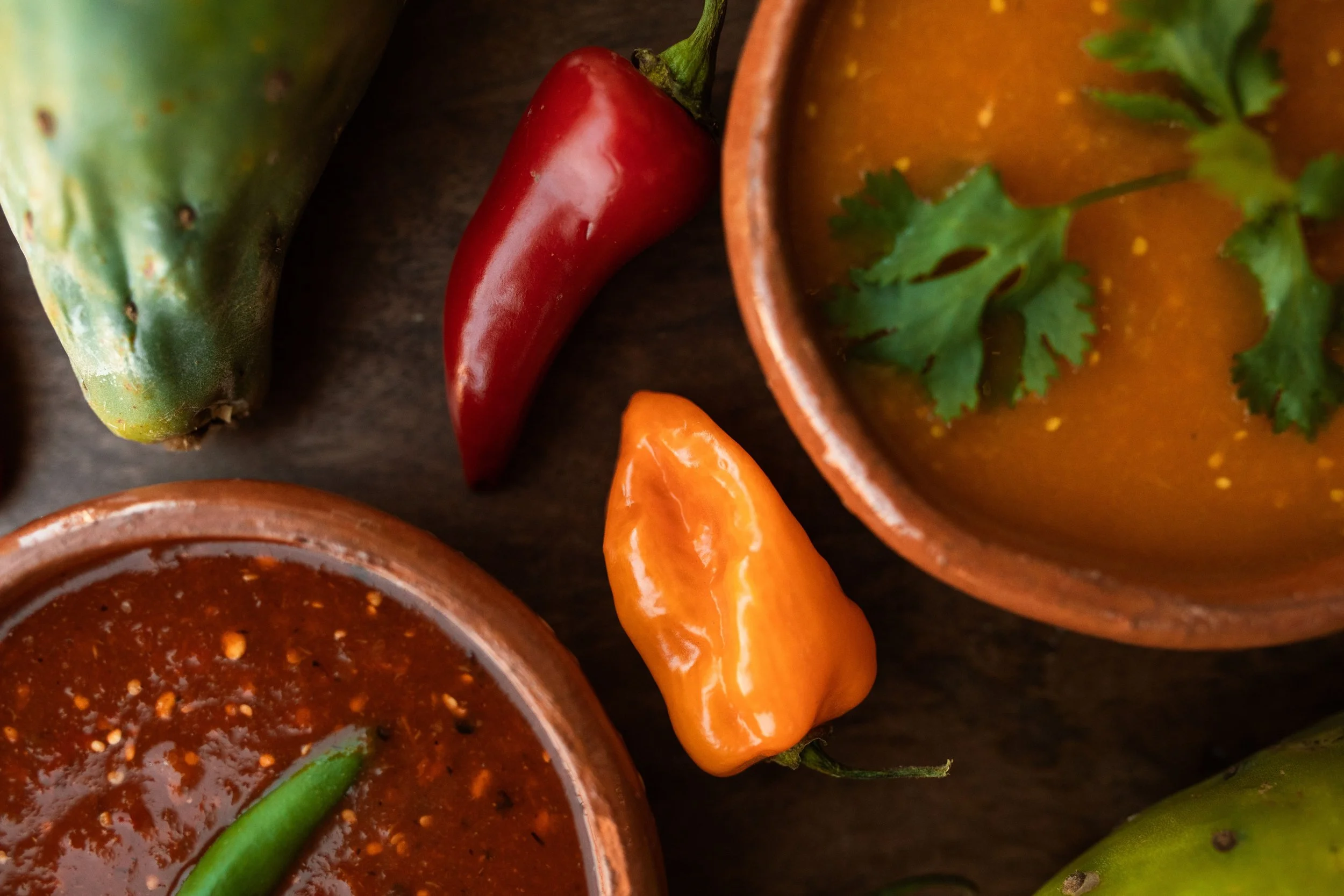 Fermented Habanero Salsa