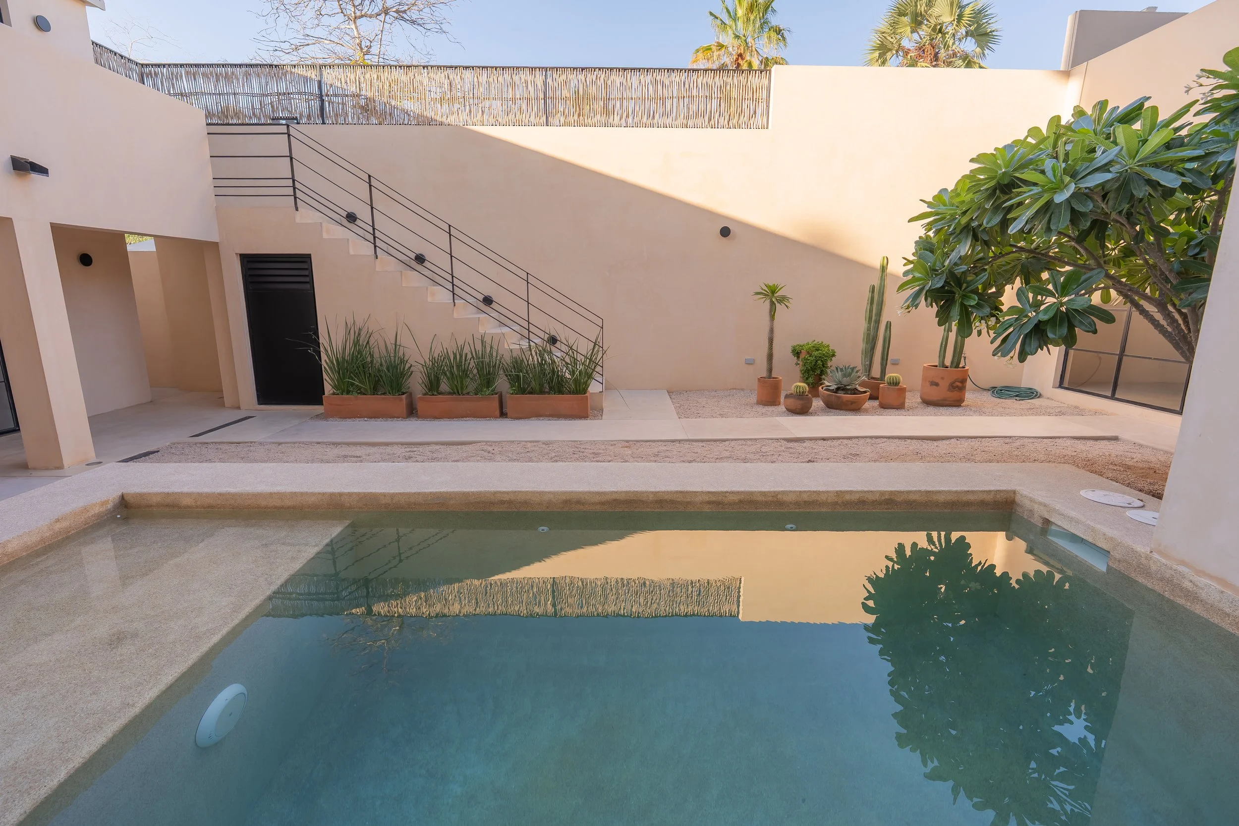 A modern outdoor patio with a swimming pool, surrounded by beige walls, potted plants including cacti and greenery, and a staircase leading to an upper patio area. Bright sunlight and clear blue sky are visible.