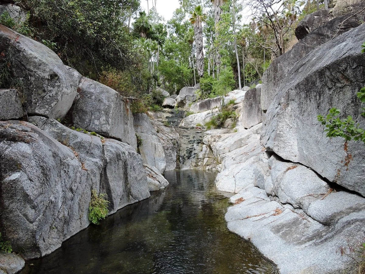 Rocky stream with water surrounded by large boulders and trees.