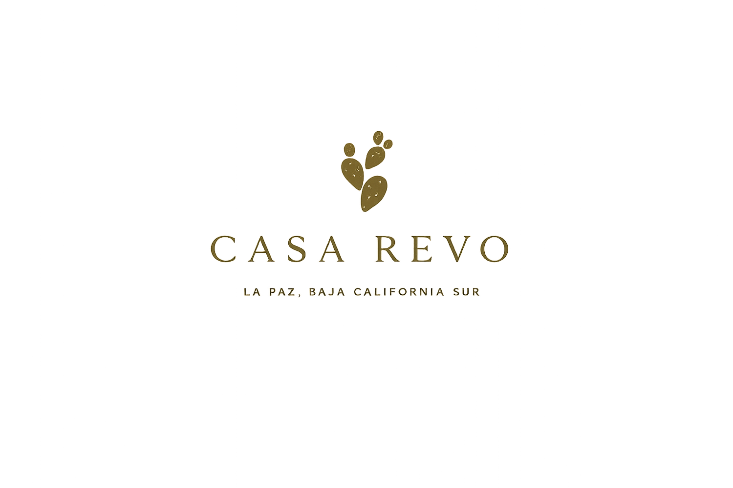 CASA SUNA (Copy)