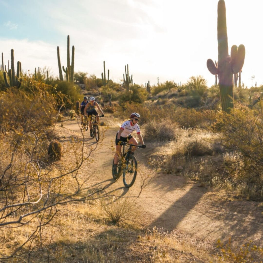 Mountain biking