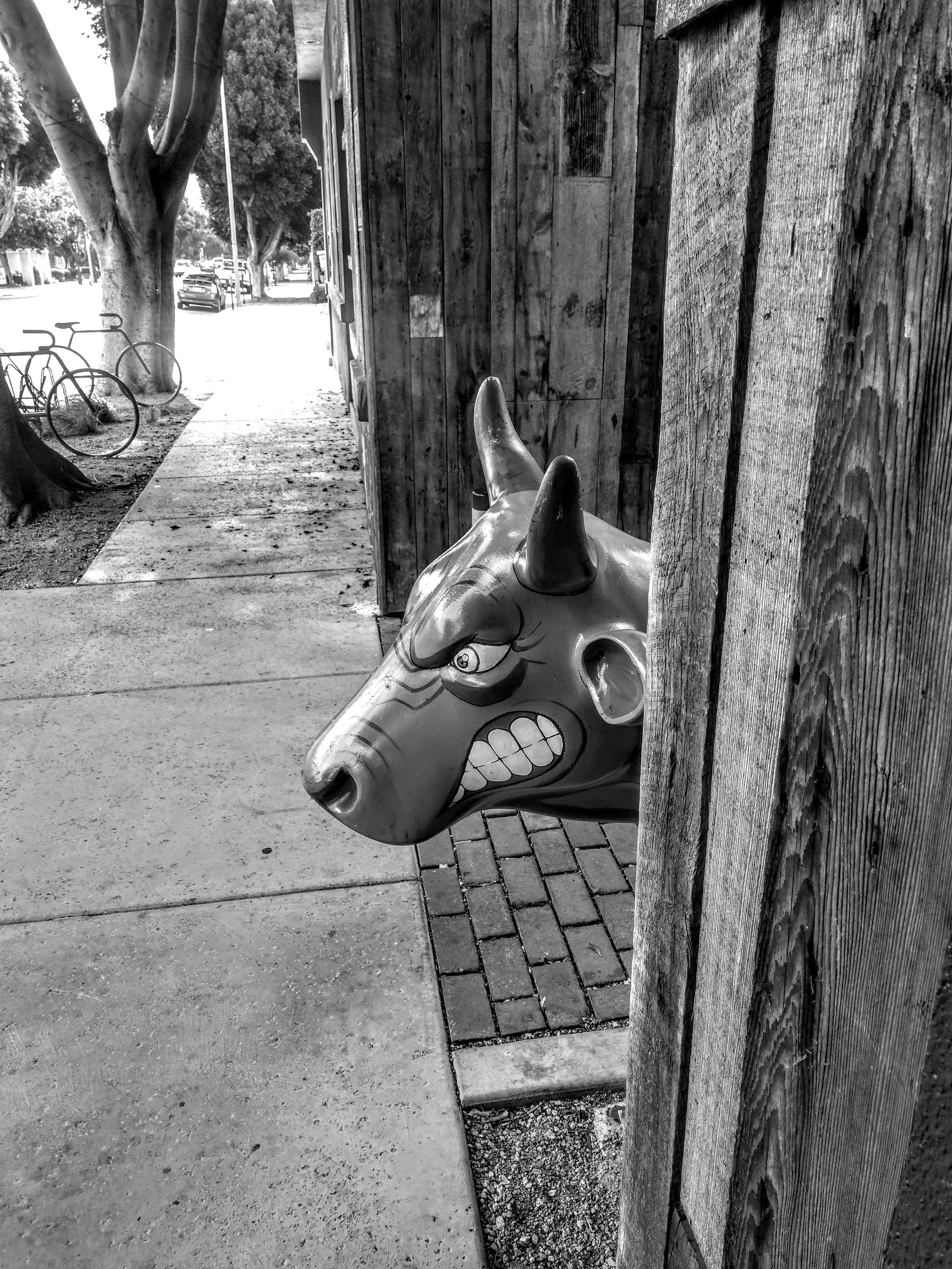Street Photography