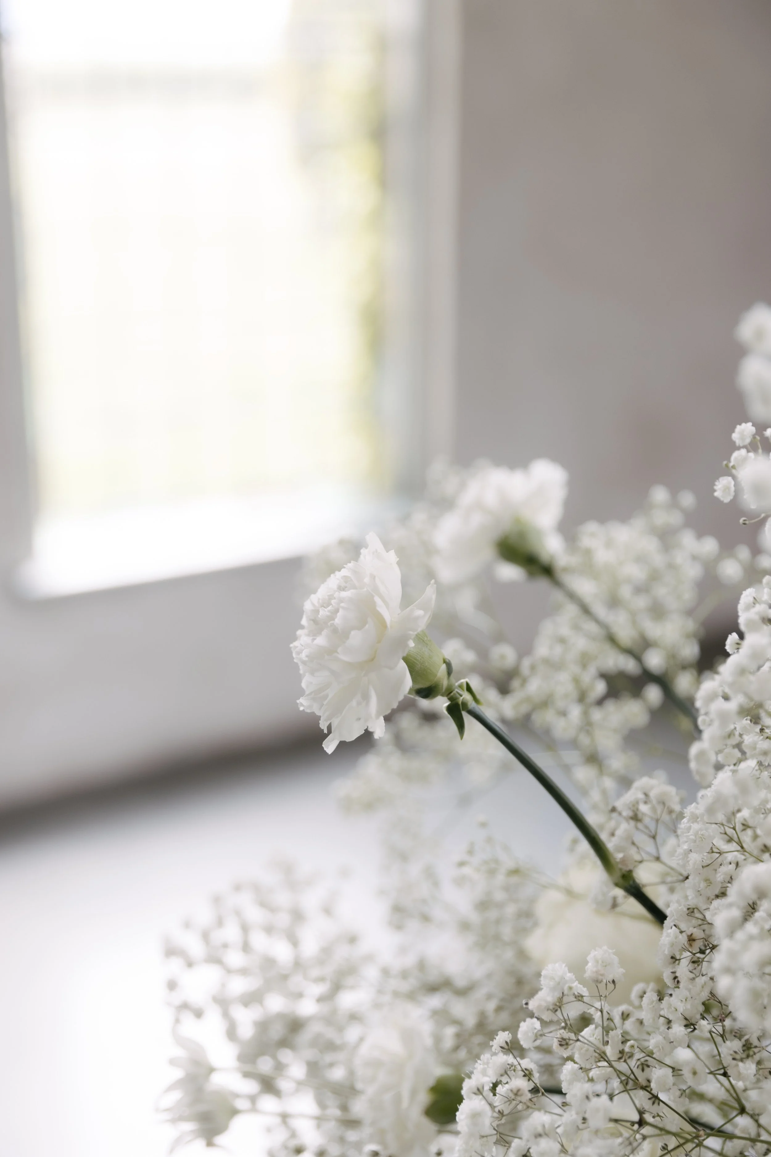 Close-up of white flowers on a branch near a window with soft light.