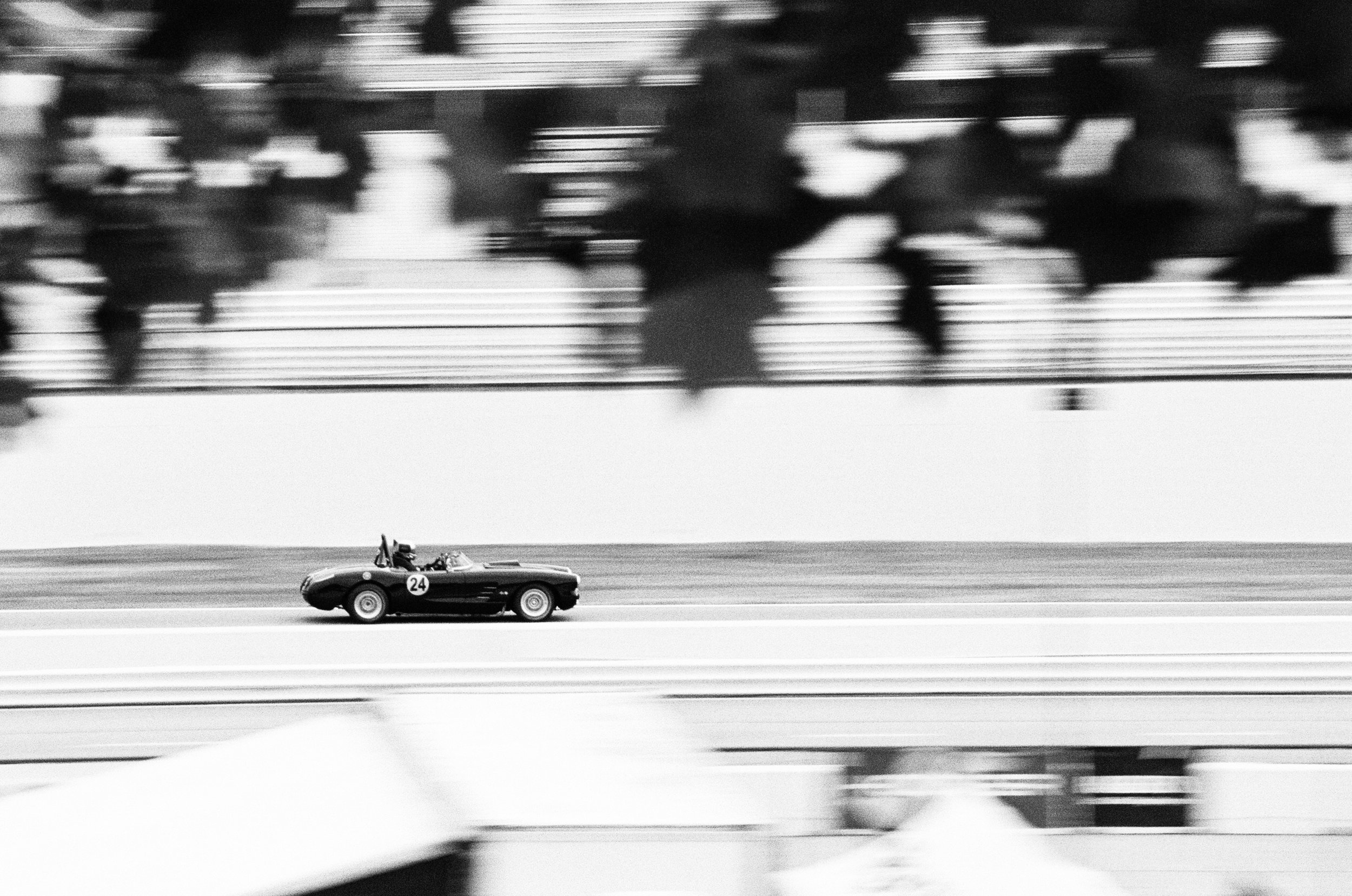 24 front stretch pan.jpg