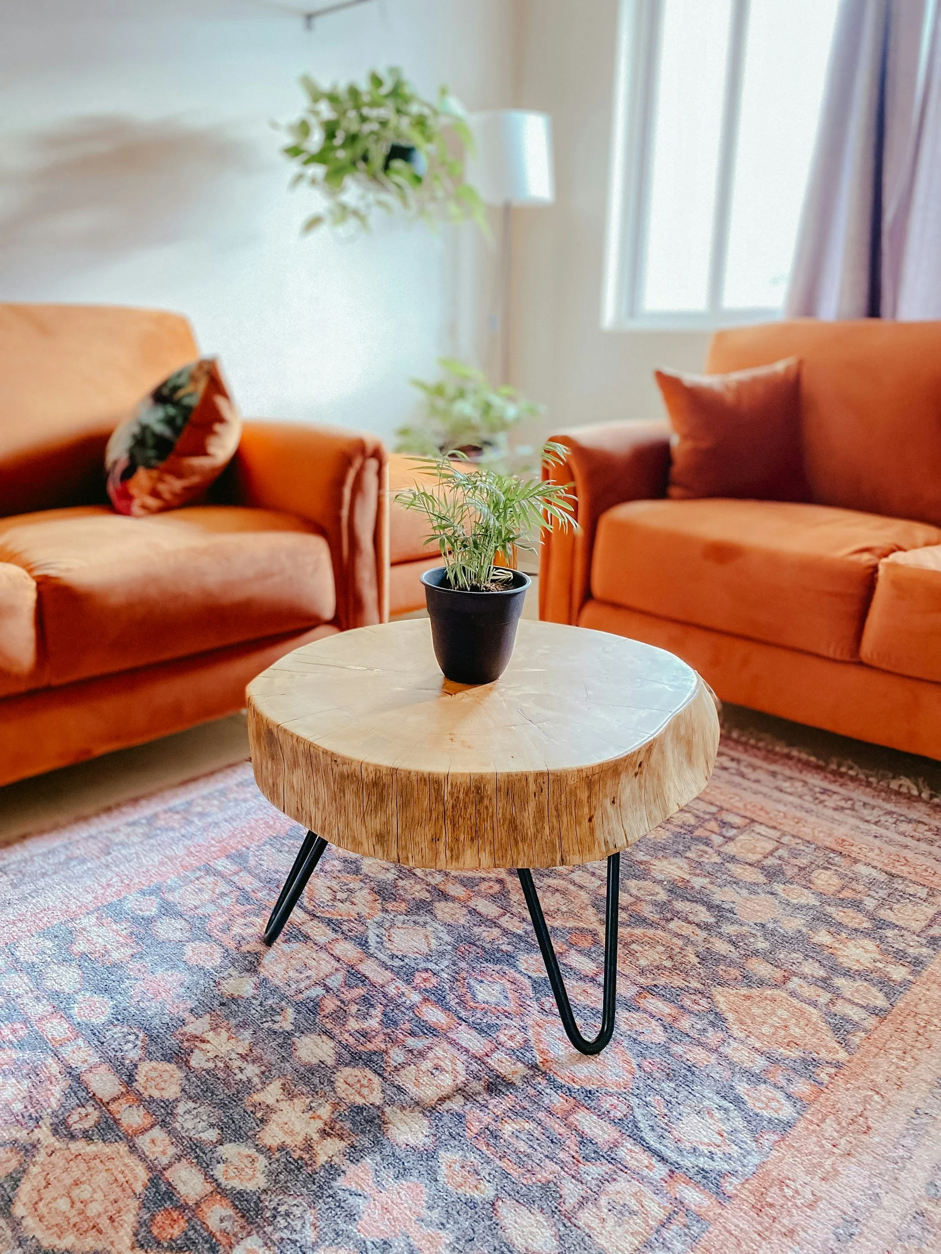 A living room with two orange sofas, a wooden coffee table with a small potted plant, a patterned rug, a window with curtain, and wall decorations including a hanging plant and a lamp.