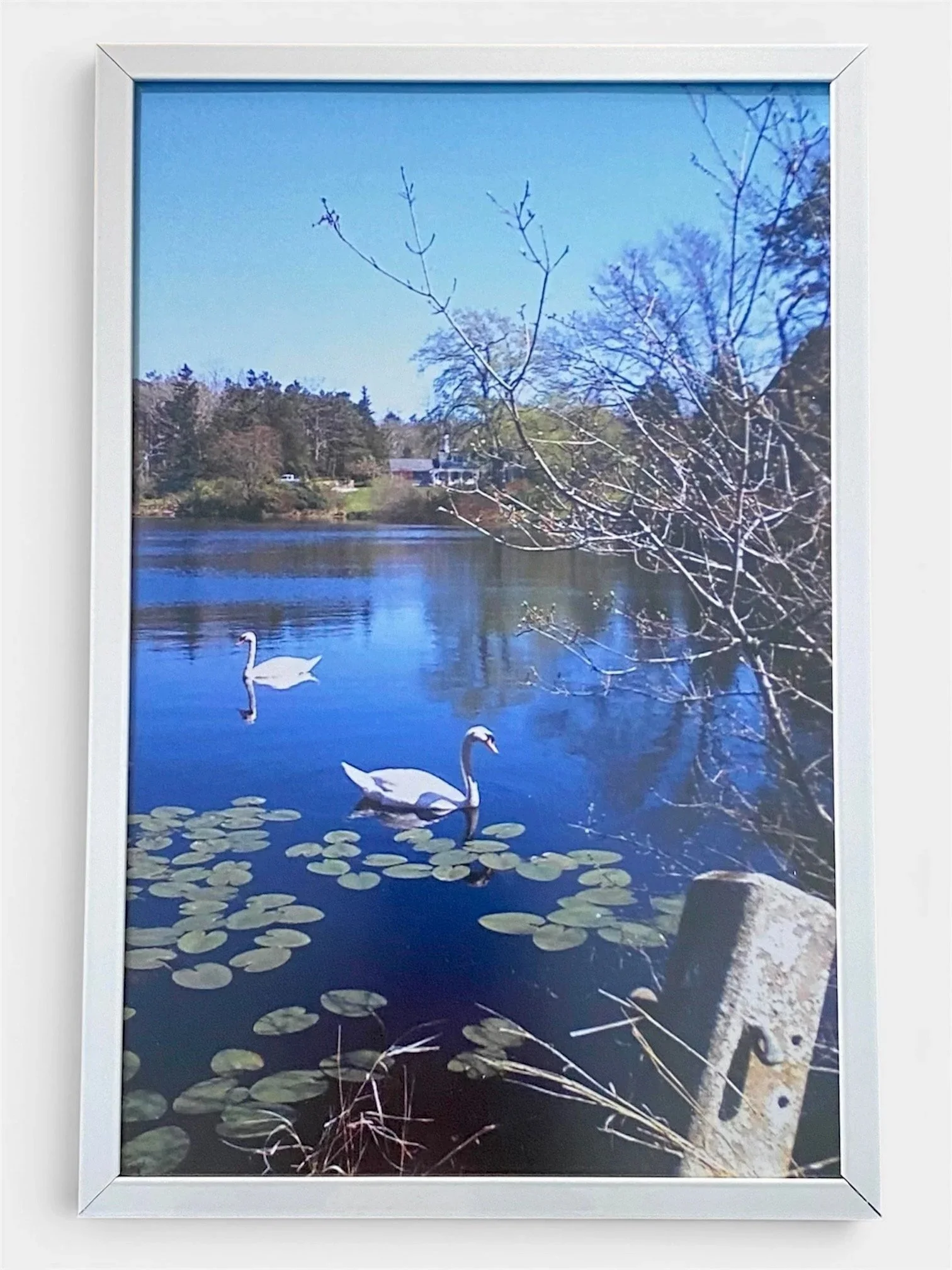 Swan Lake