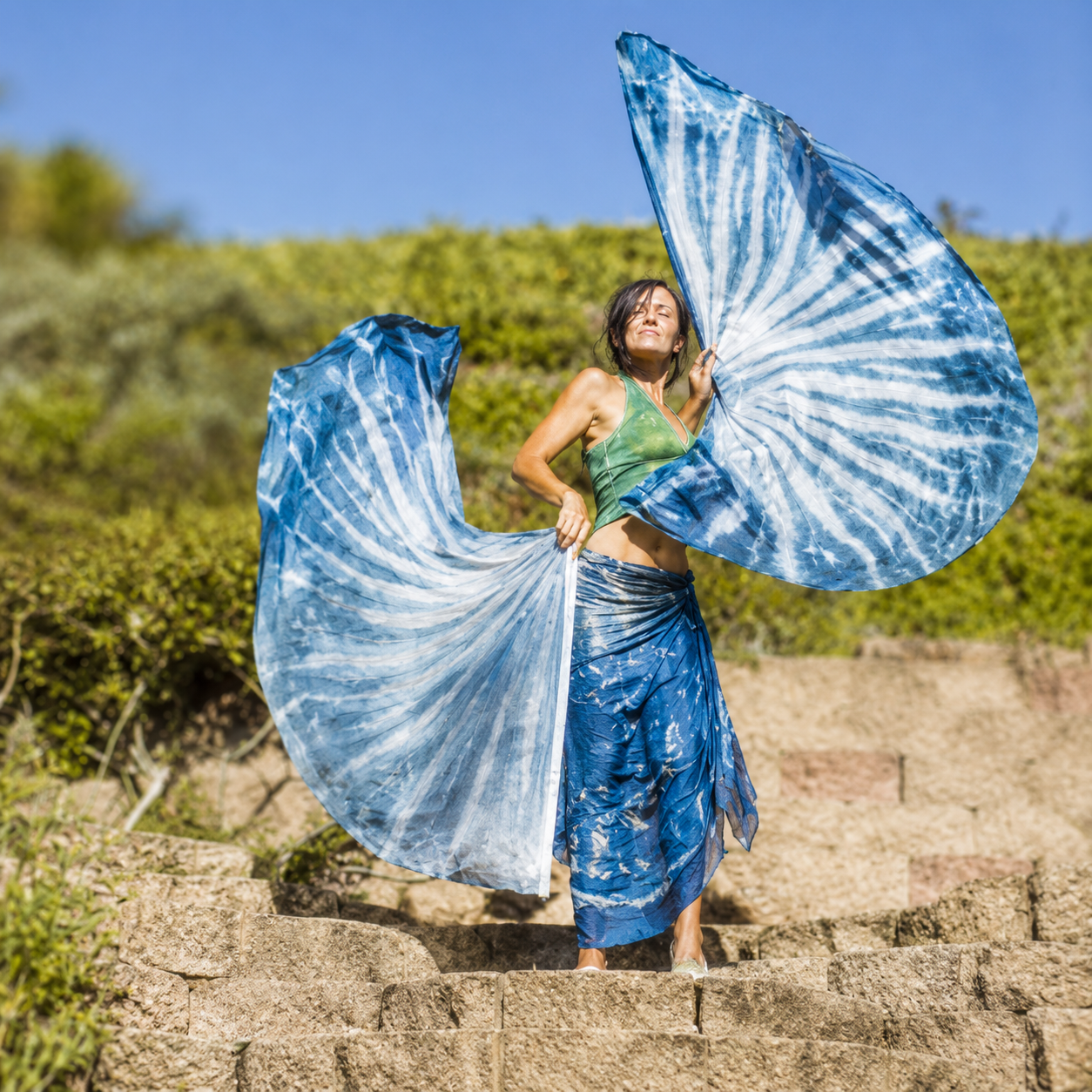 8-28-26-cyanotype-fairy-wings-taleria-delights- Image Aug 28, 2026, 06_49_32 PM (4).png