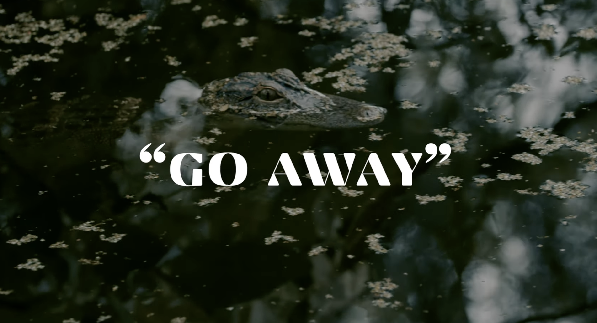 Go Away — Director