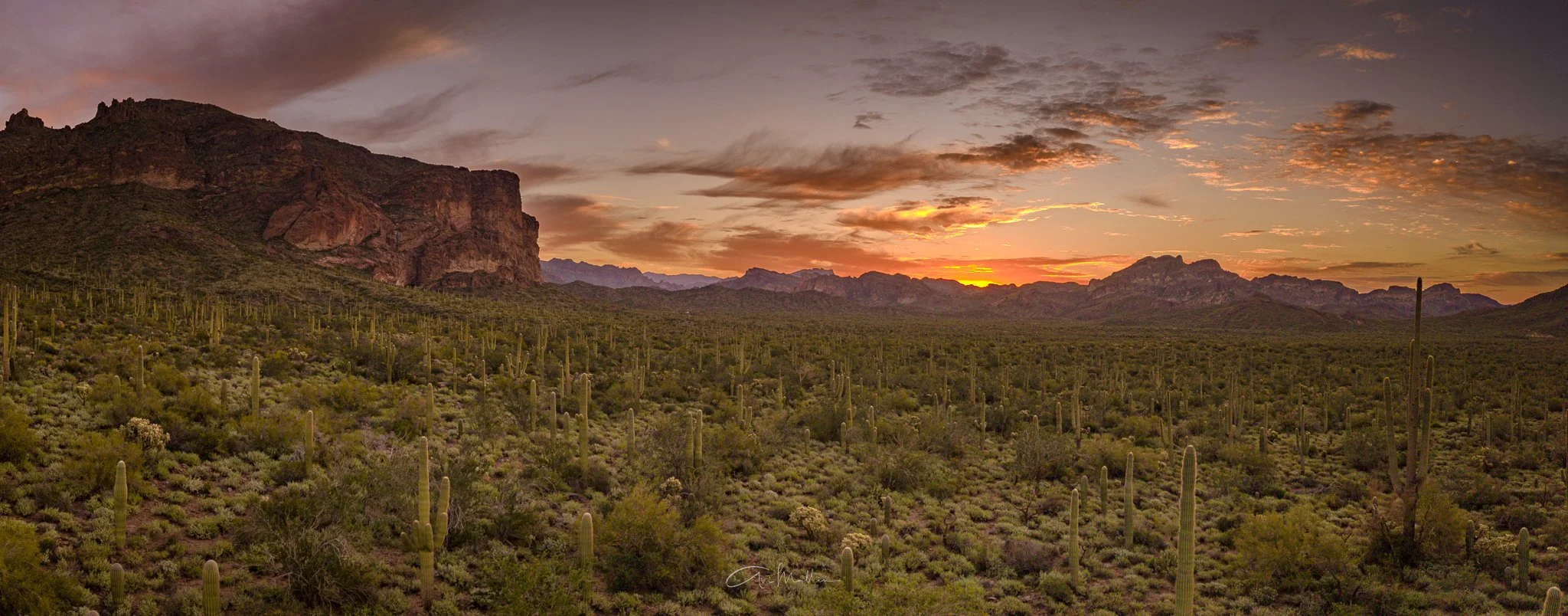 Desert Awakening (Panorama)