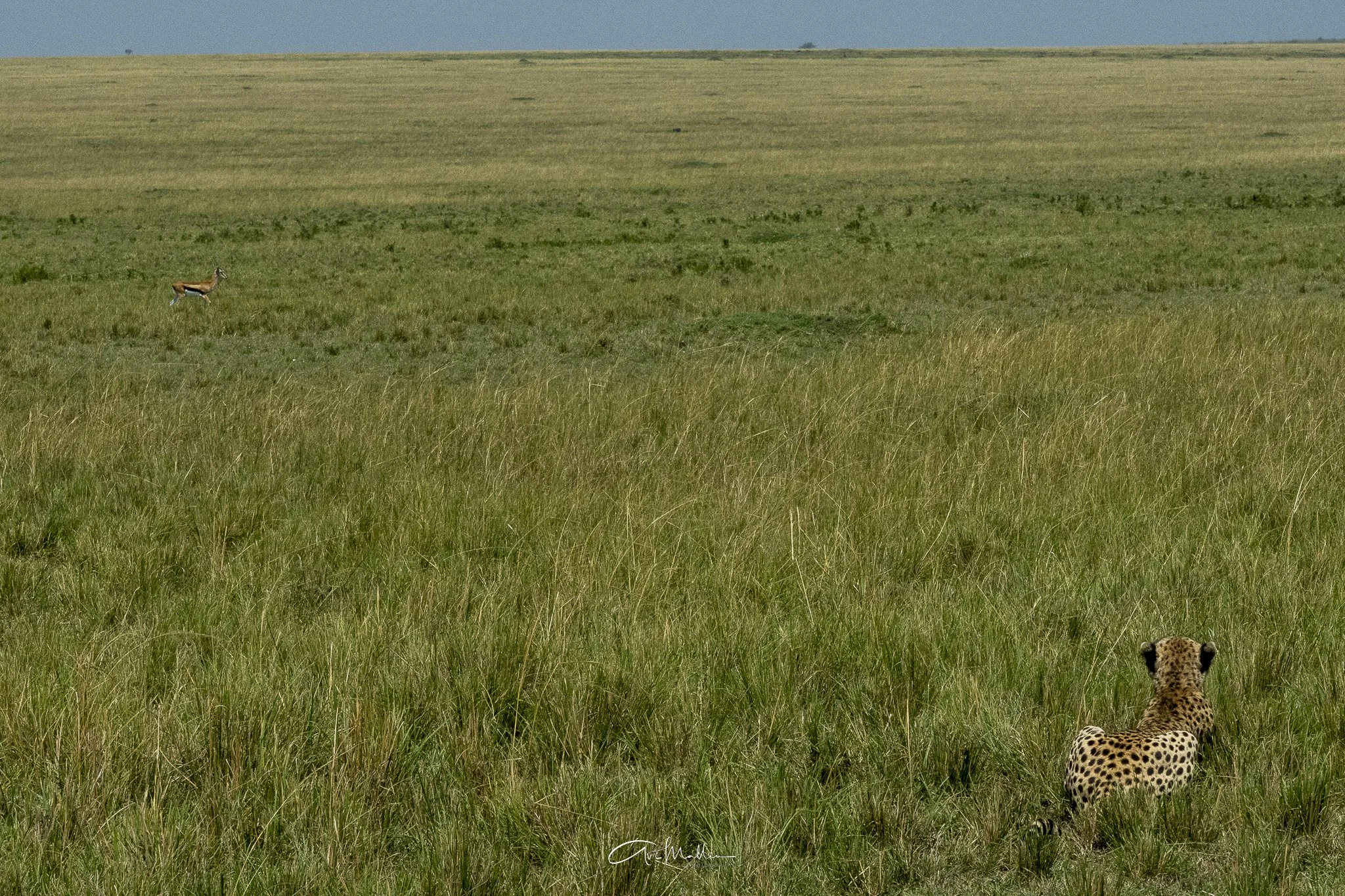 Horseshoe bend footage-9.jpg