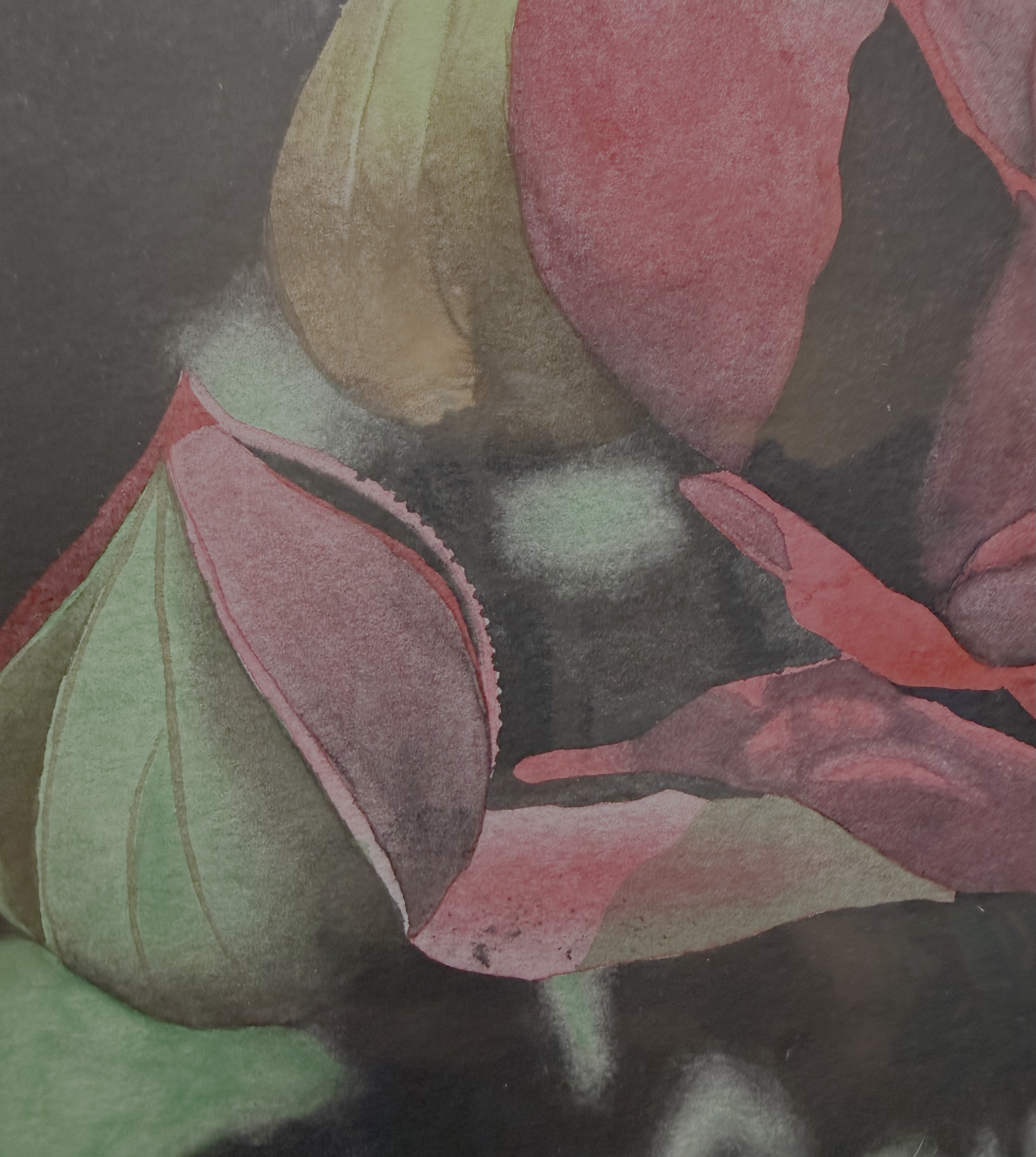 WatercolorRose_SideCloseUp.png