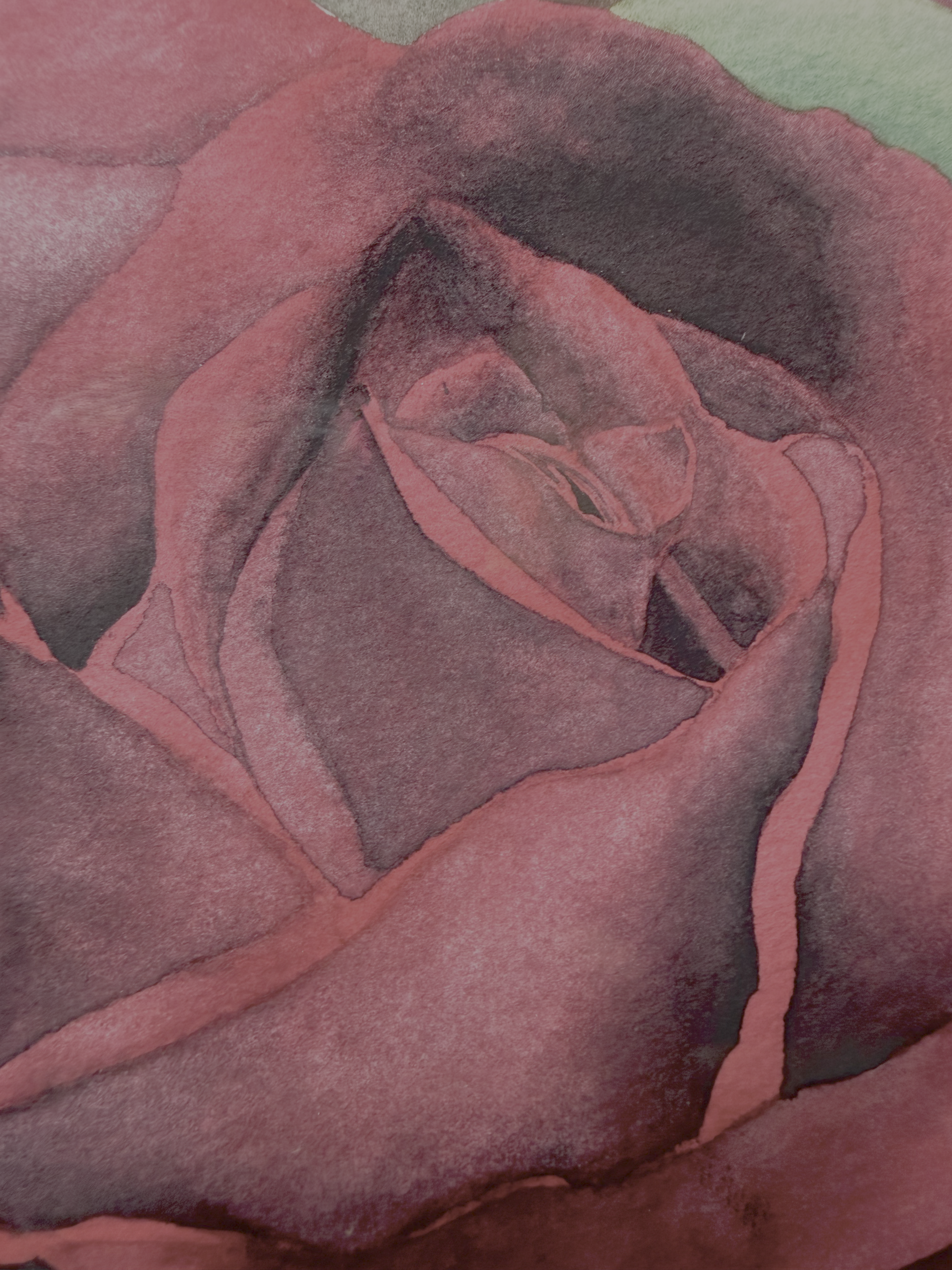 WatercolorRose_RoseCloseUp.png