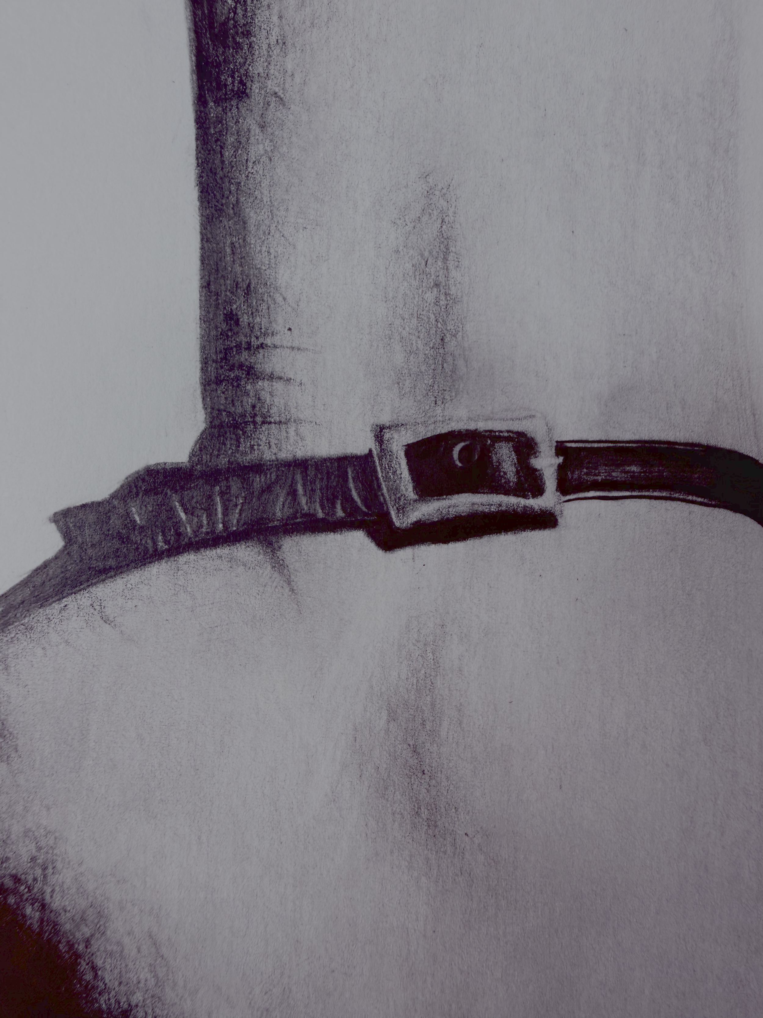 HighHeel_Buckle.png