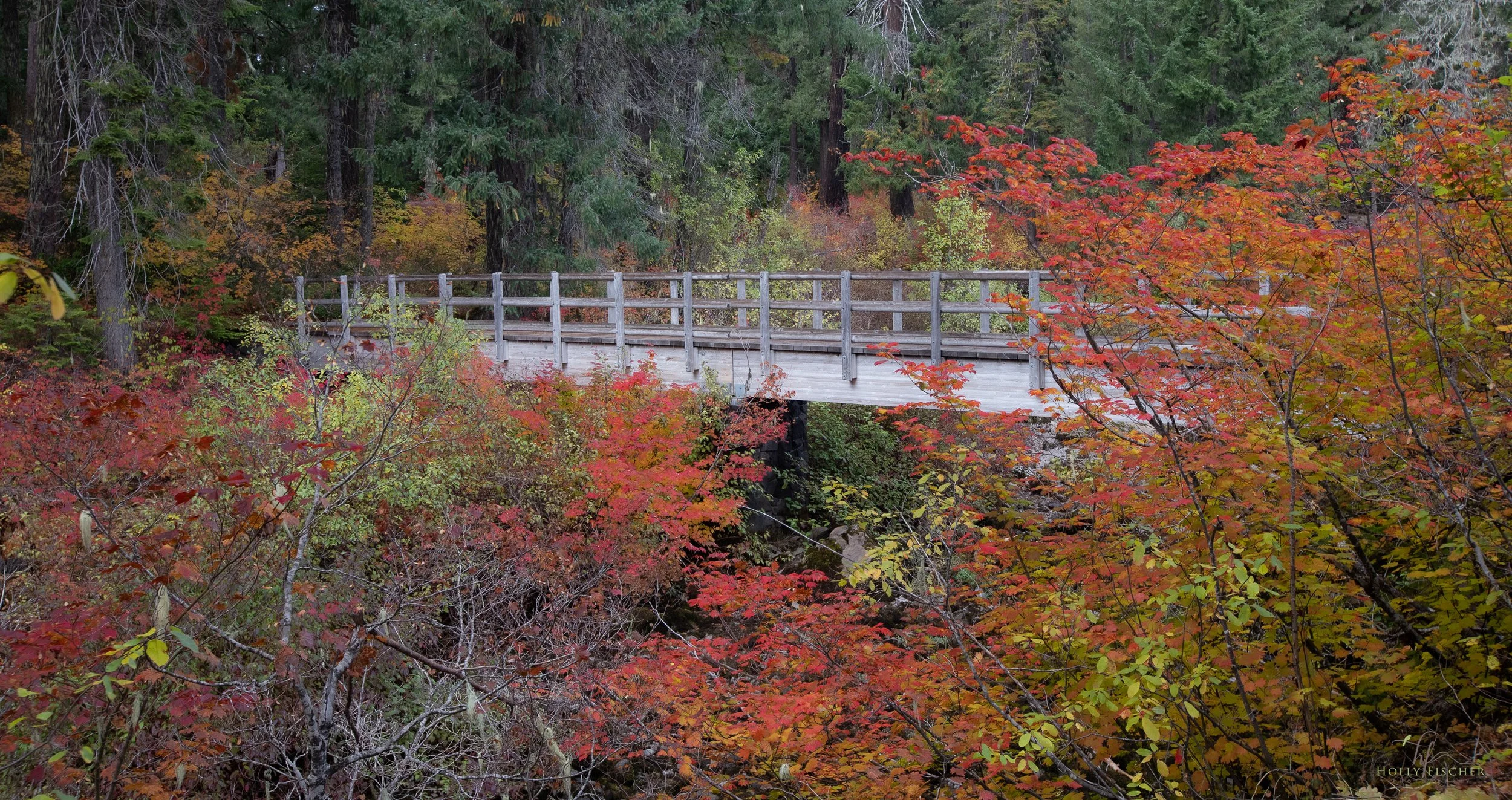 Oregon