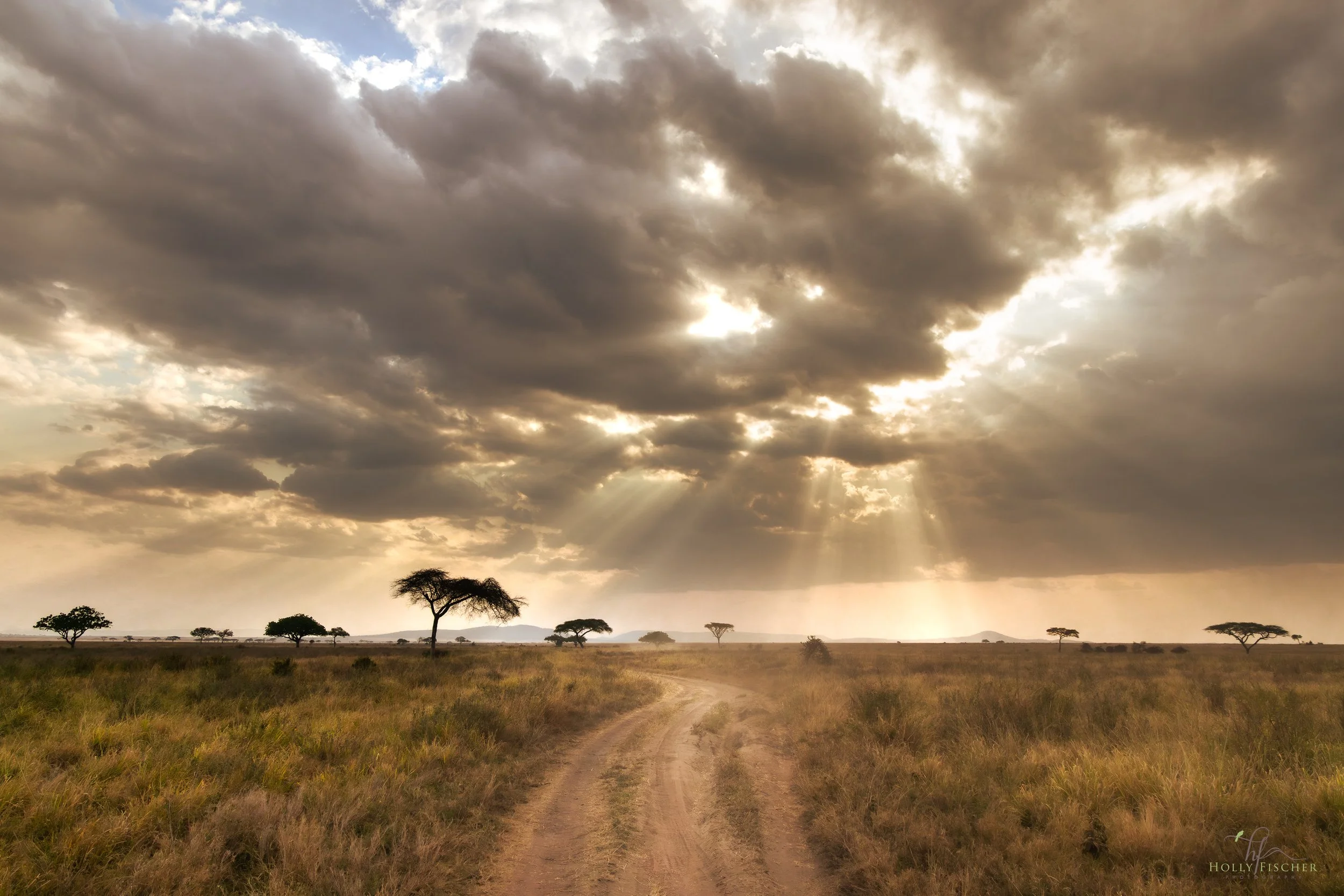 The Serengeti, Tanzania