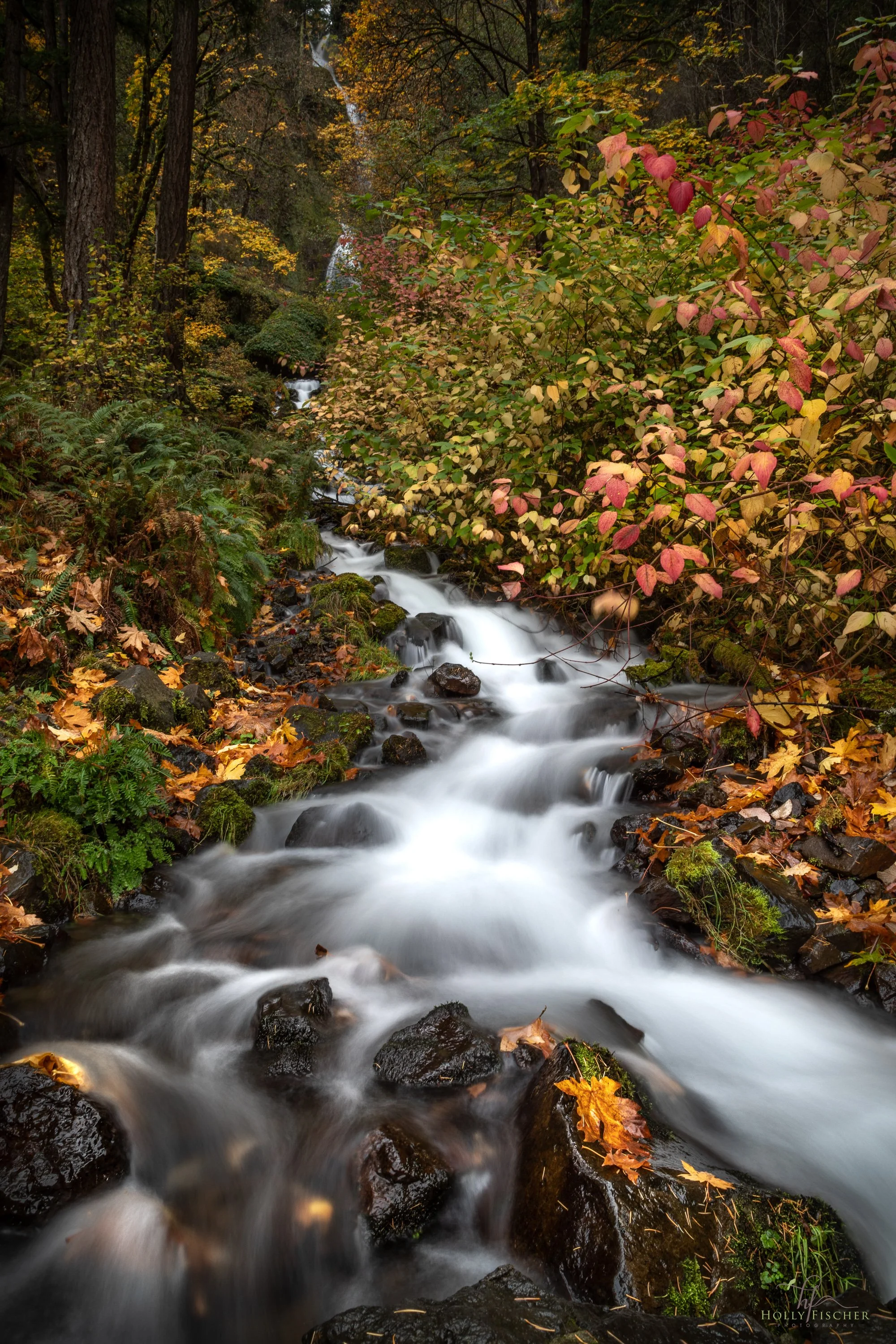 Oregon