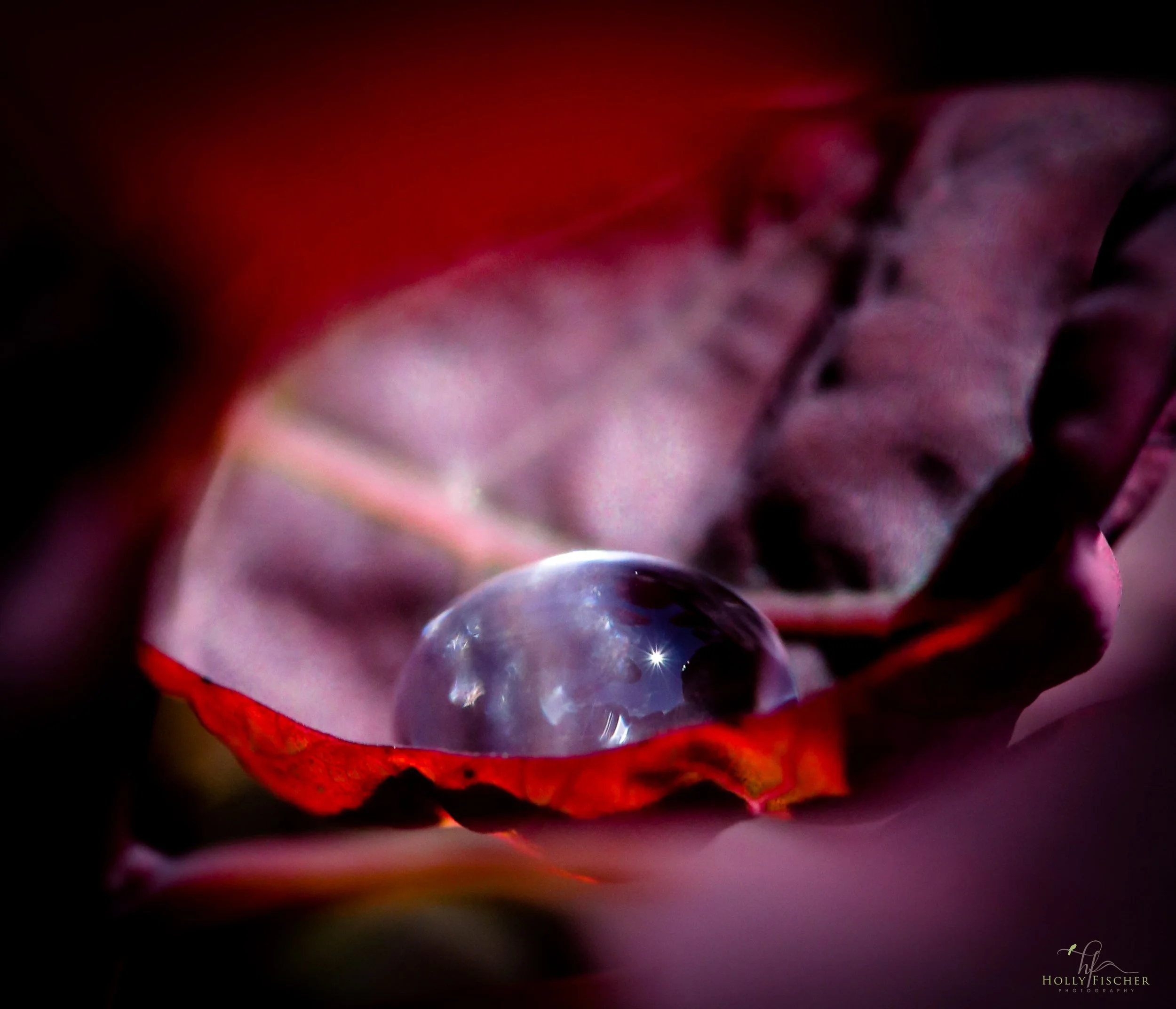 _D5A0911.jpg