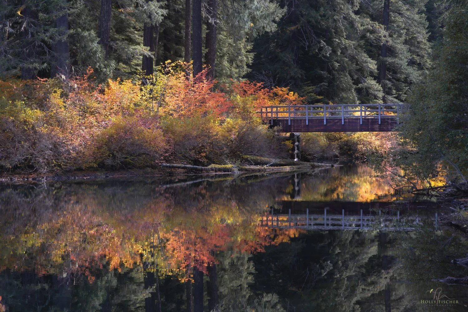 Oregon