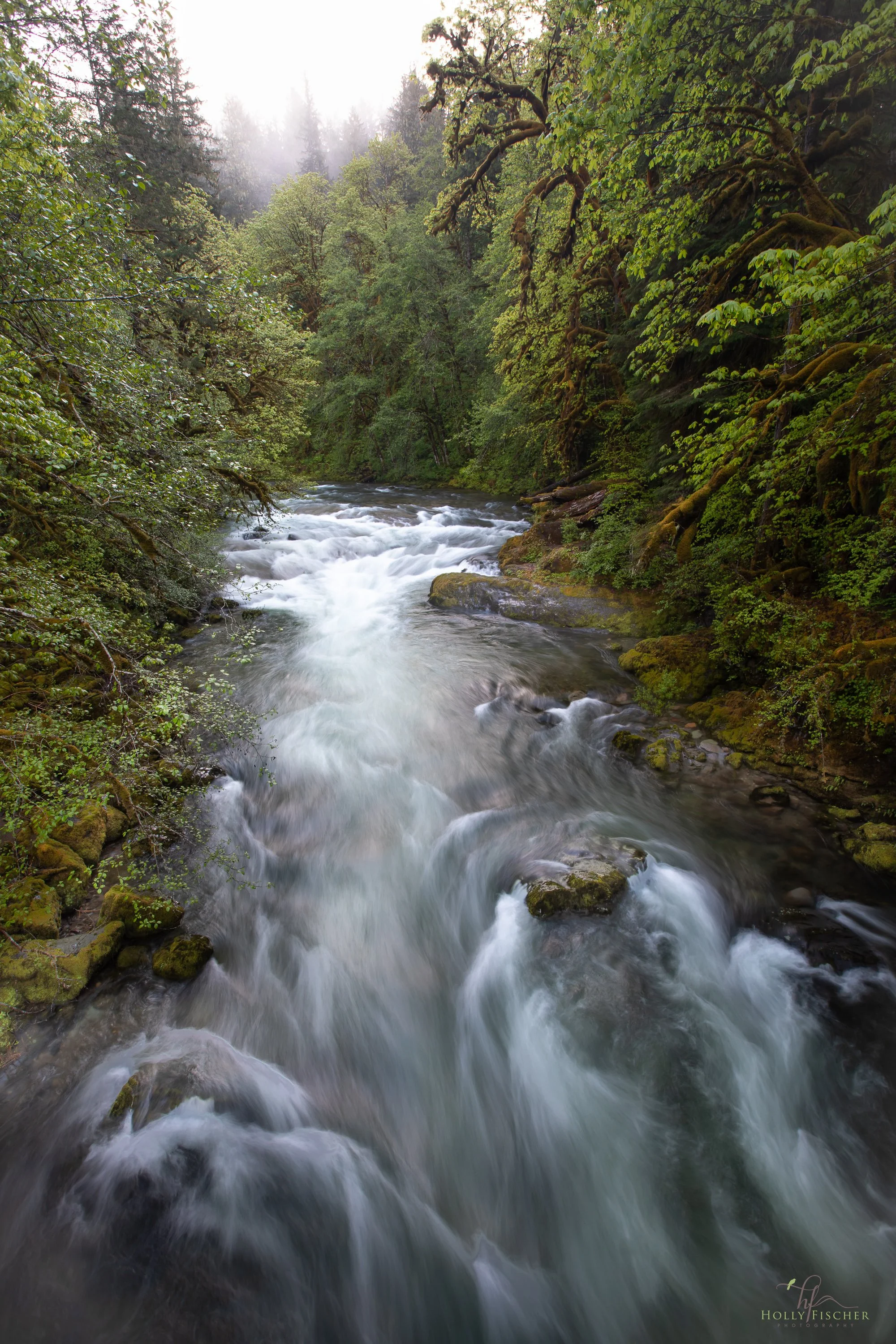 Oregon