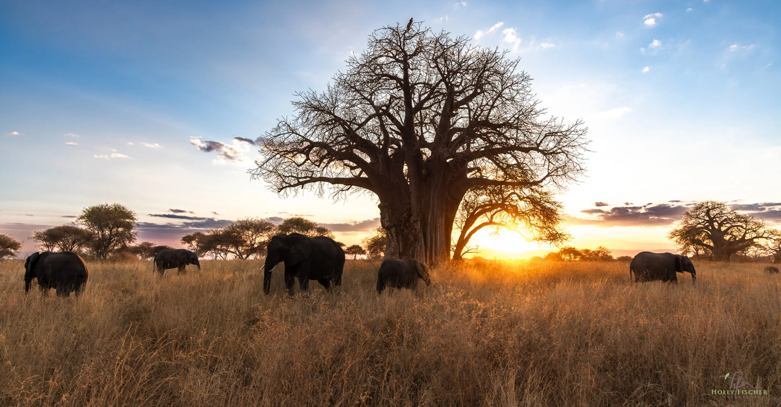 Tanzania