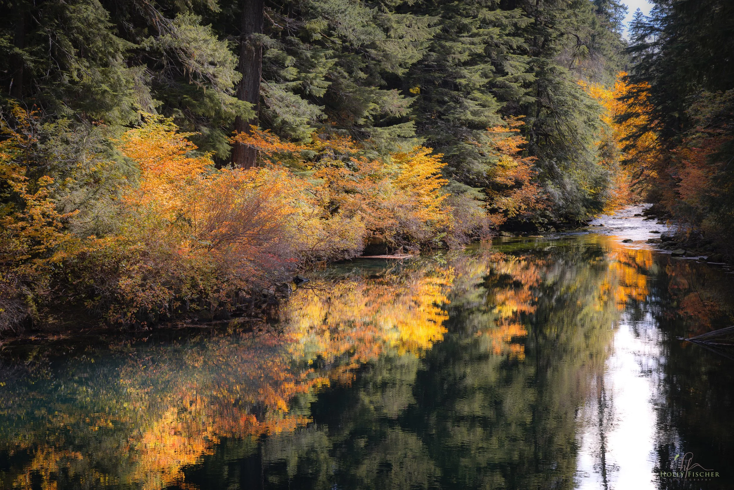 Oregon
