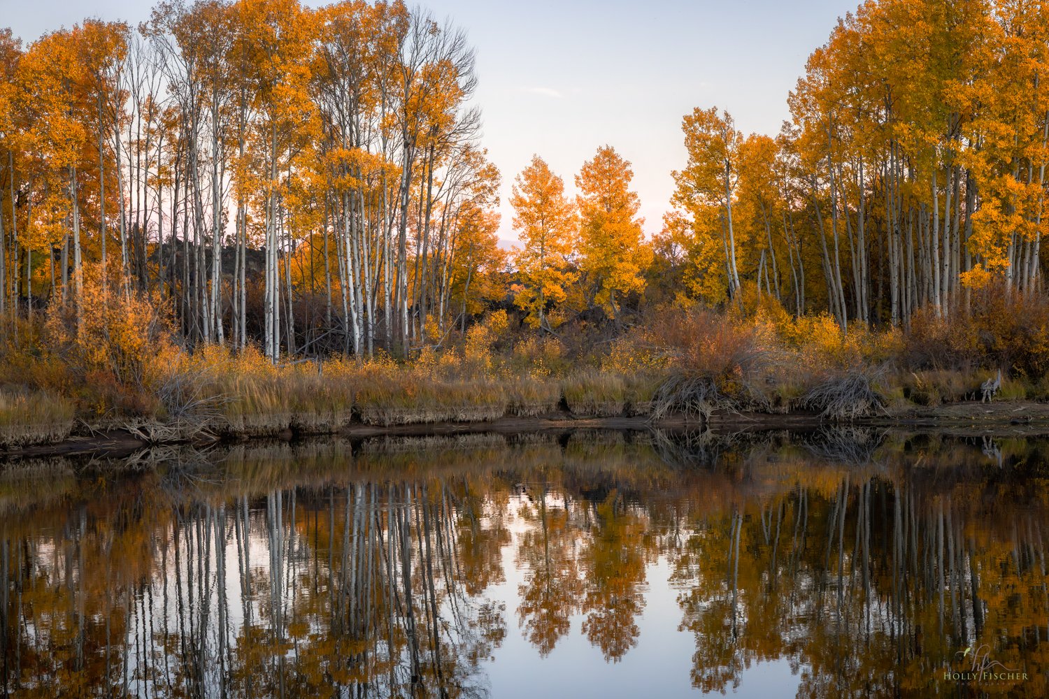 Oregon