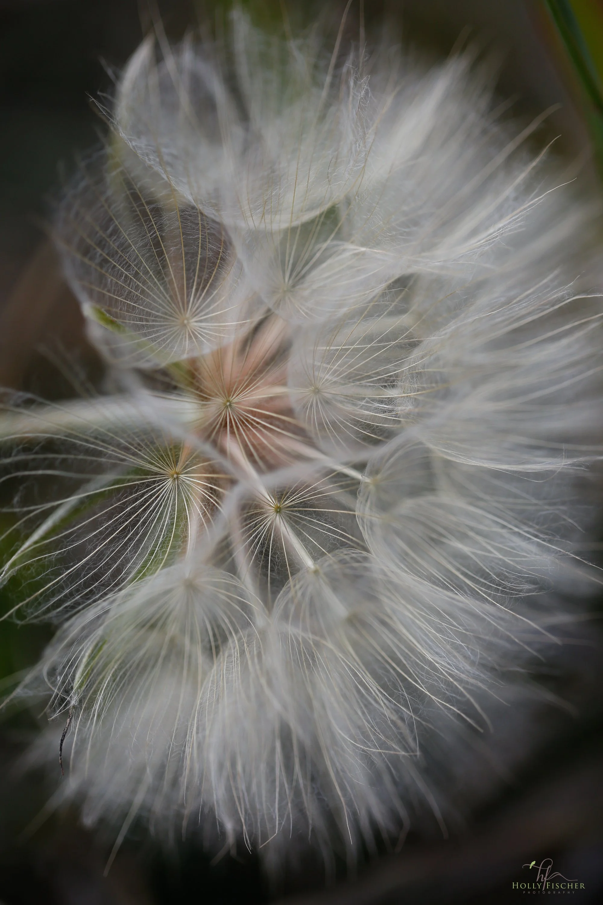 _d5a4540.jpg