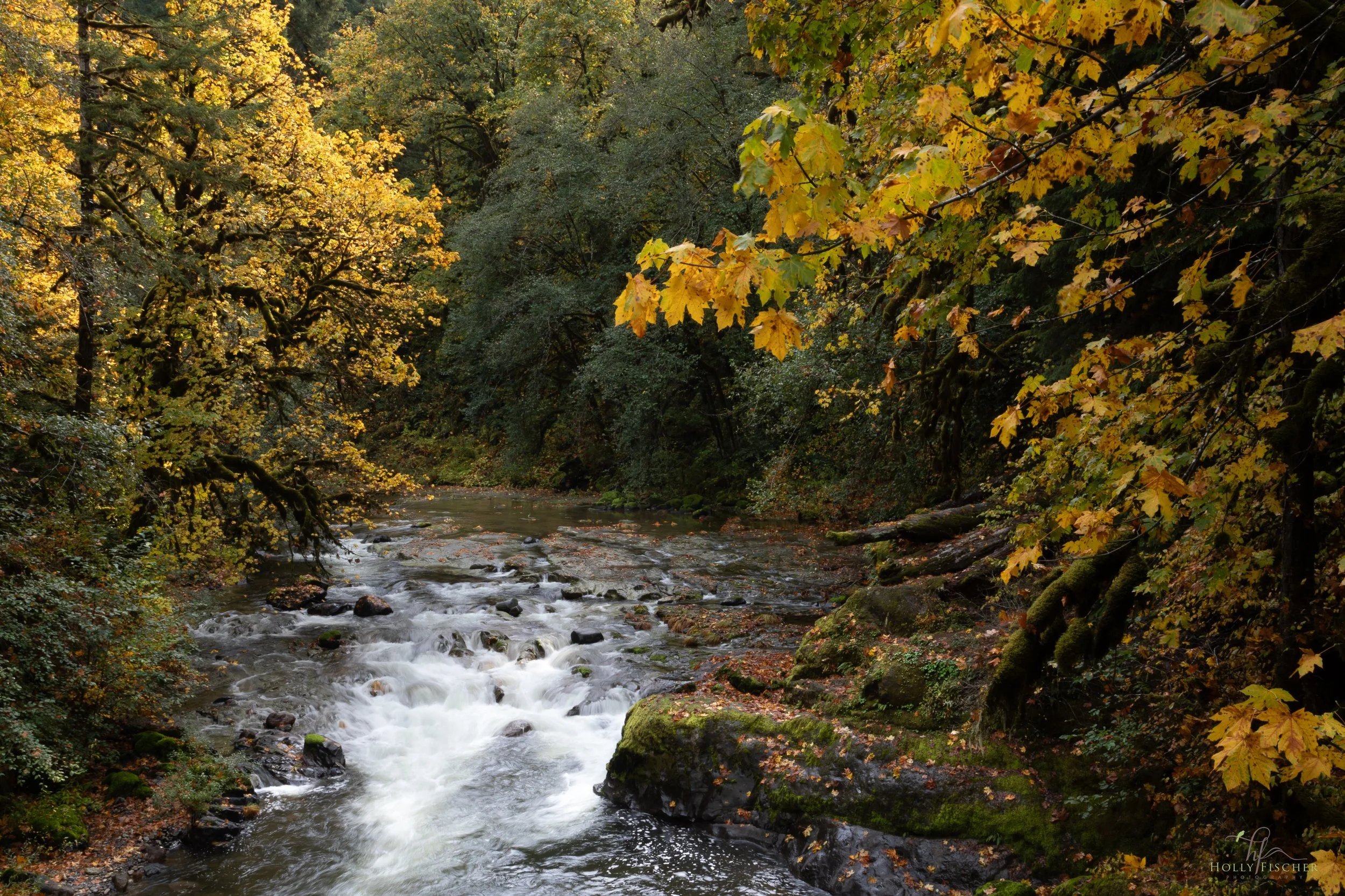 Oregon