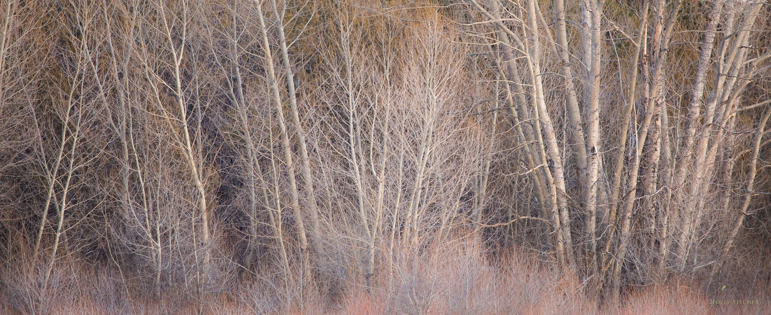 5R3A9909.jpg