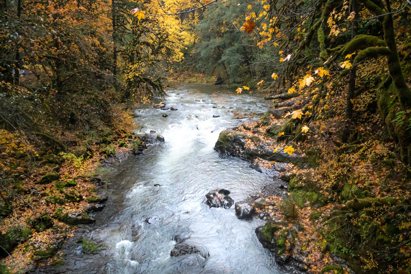 Santiam River, OR