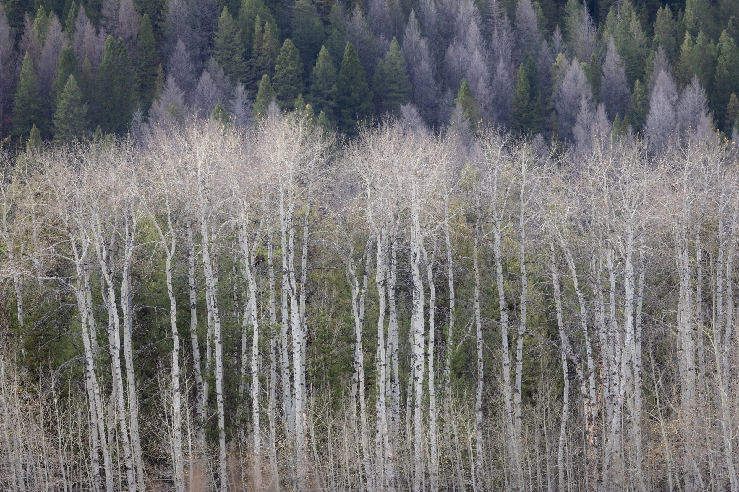 453A7057.jpg