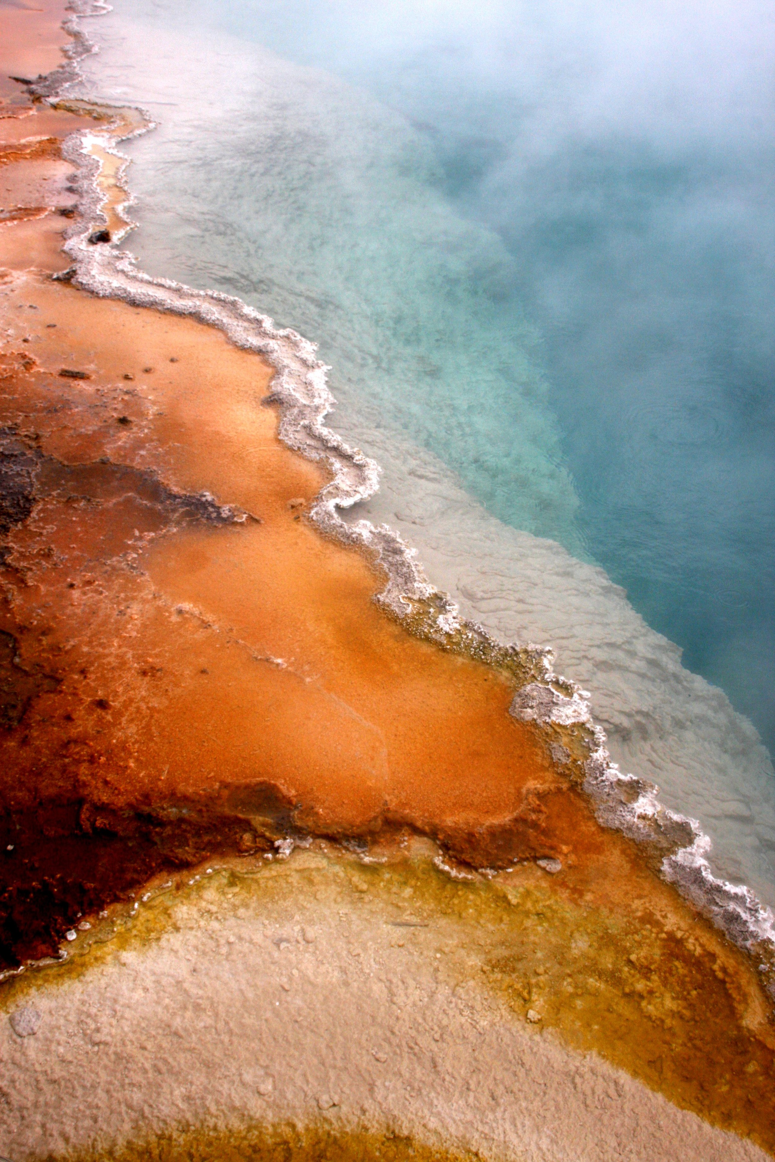 Yellowstone 