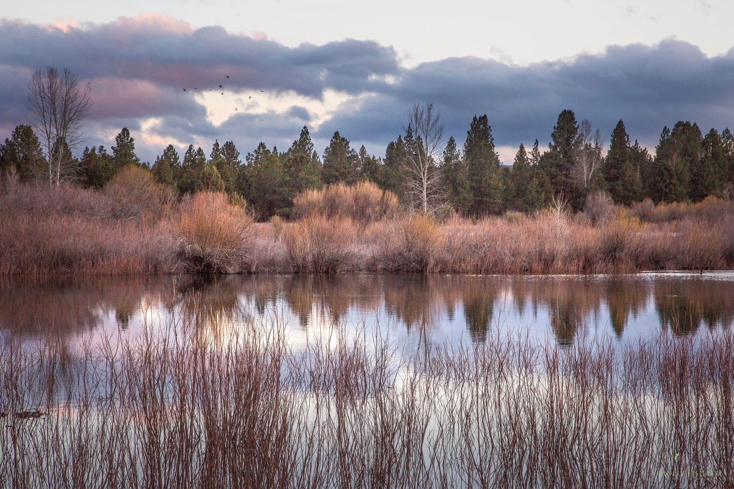 Oregon