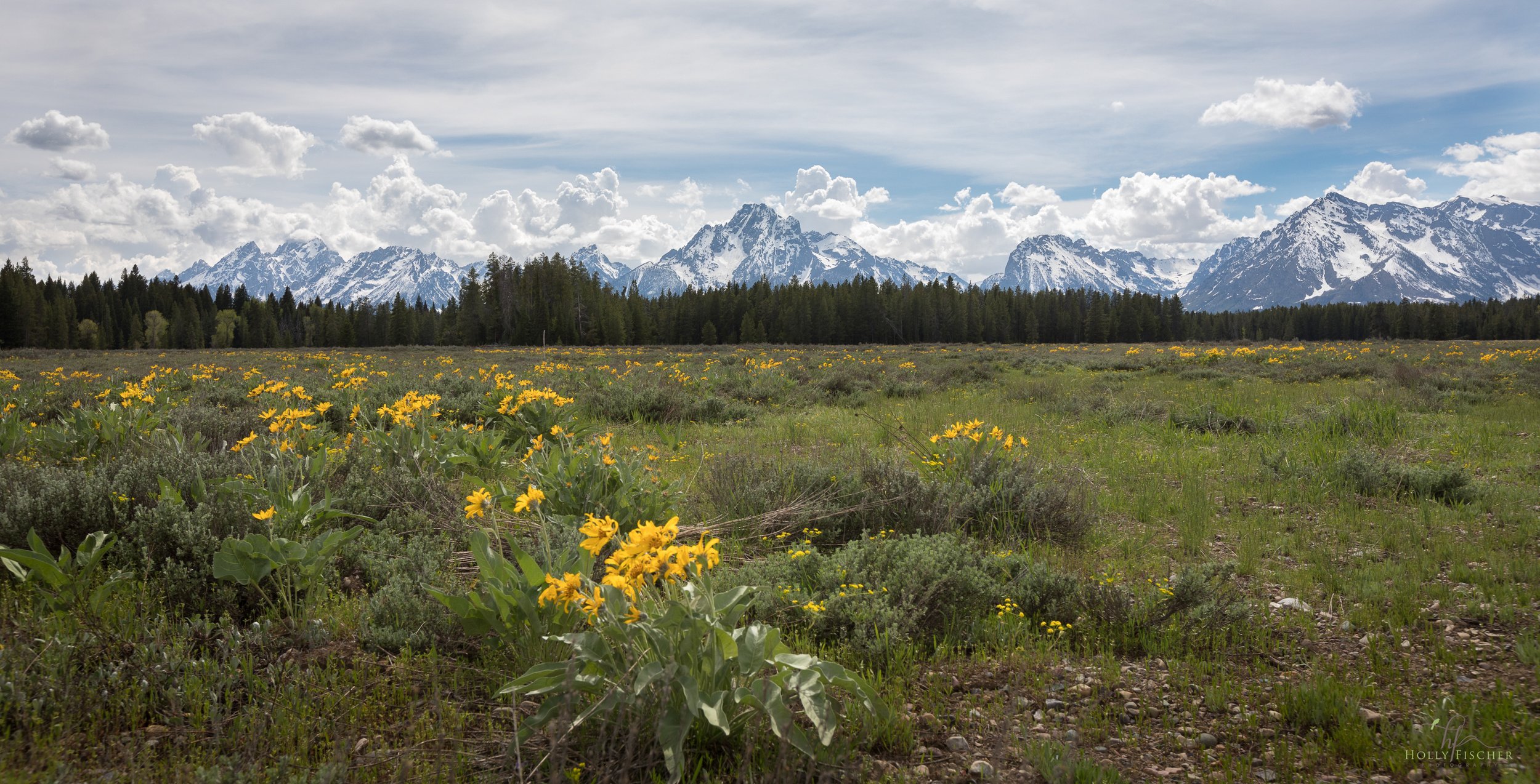 Wyoming
