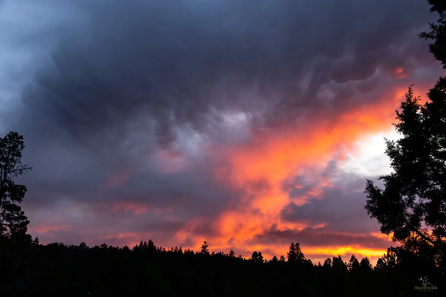 167A7819-Enhanced-NR.jpg