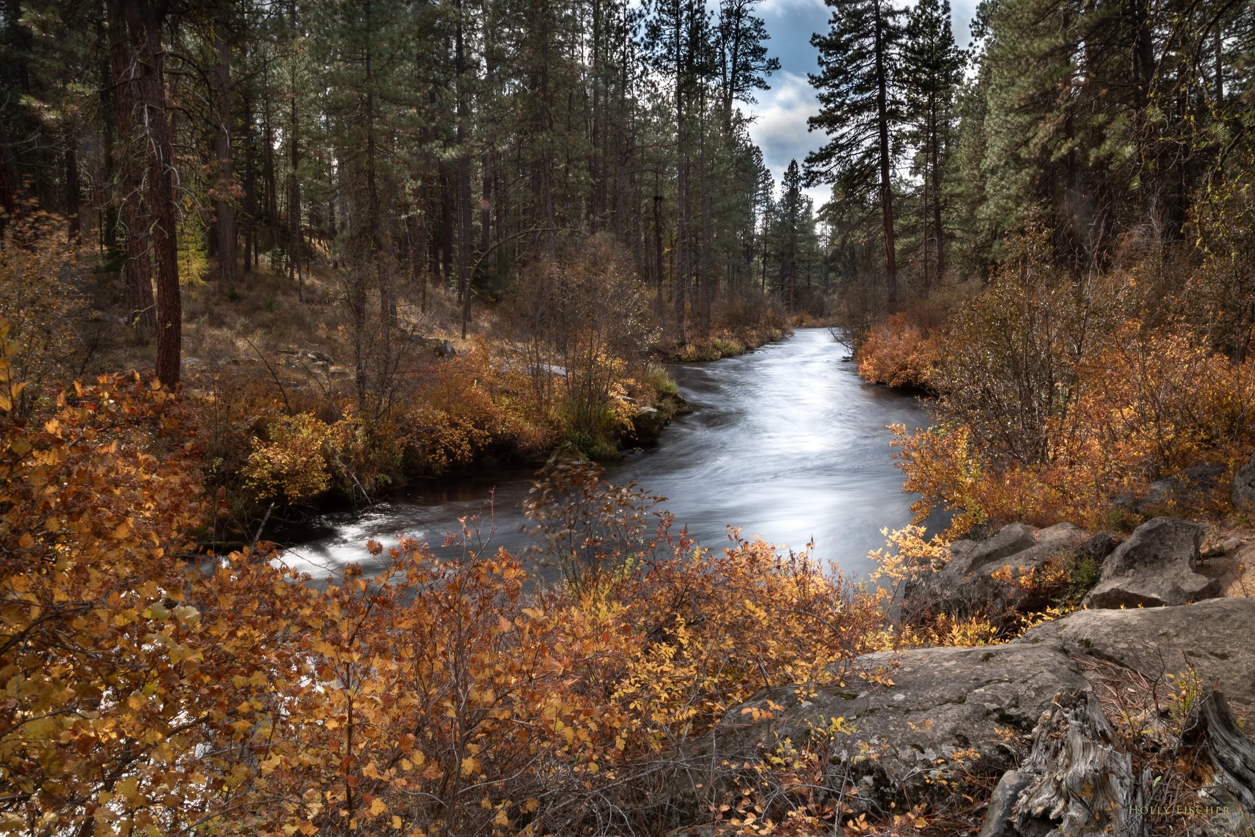 Oregon
