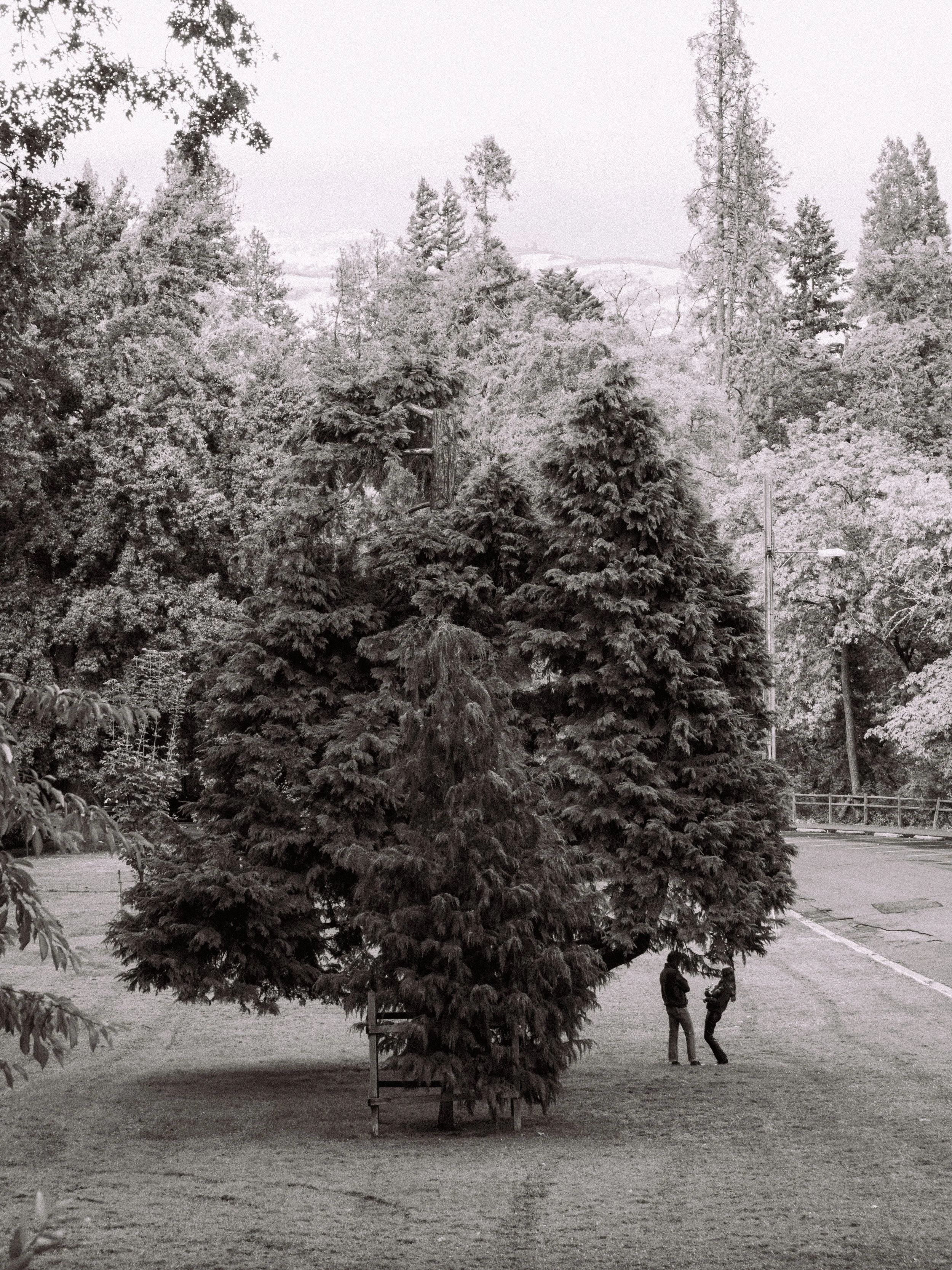 P1090943.jpg
